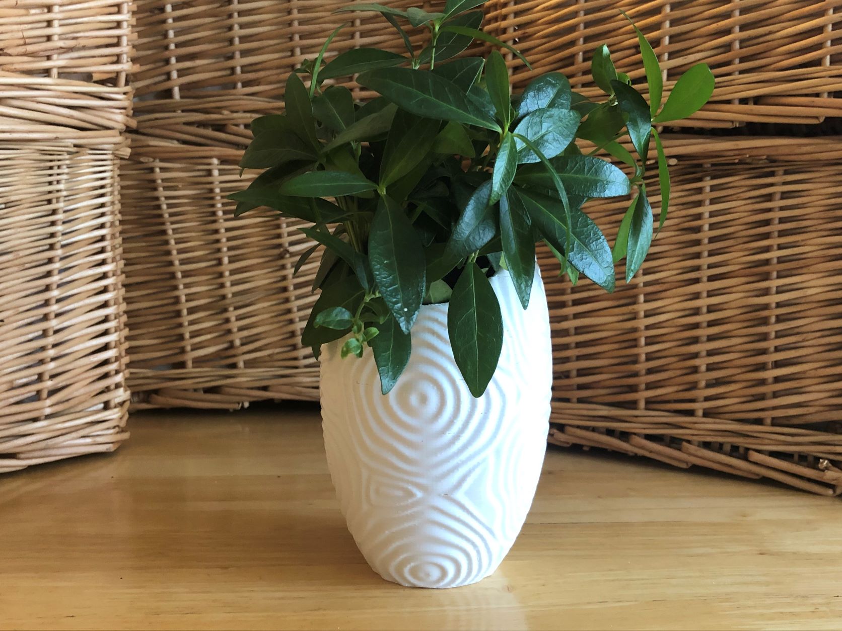 Ripple Vase (Ovoid)