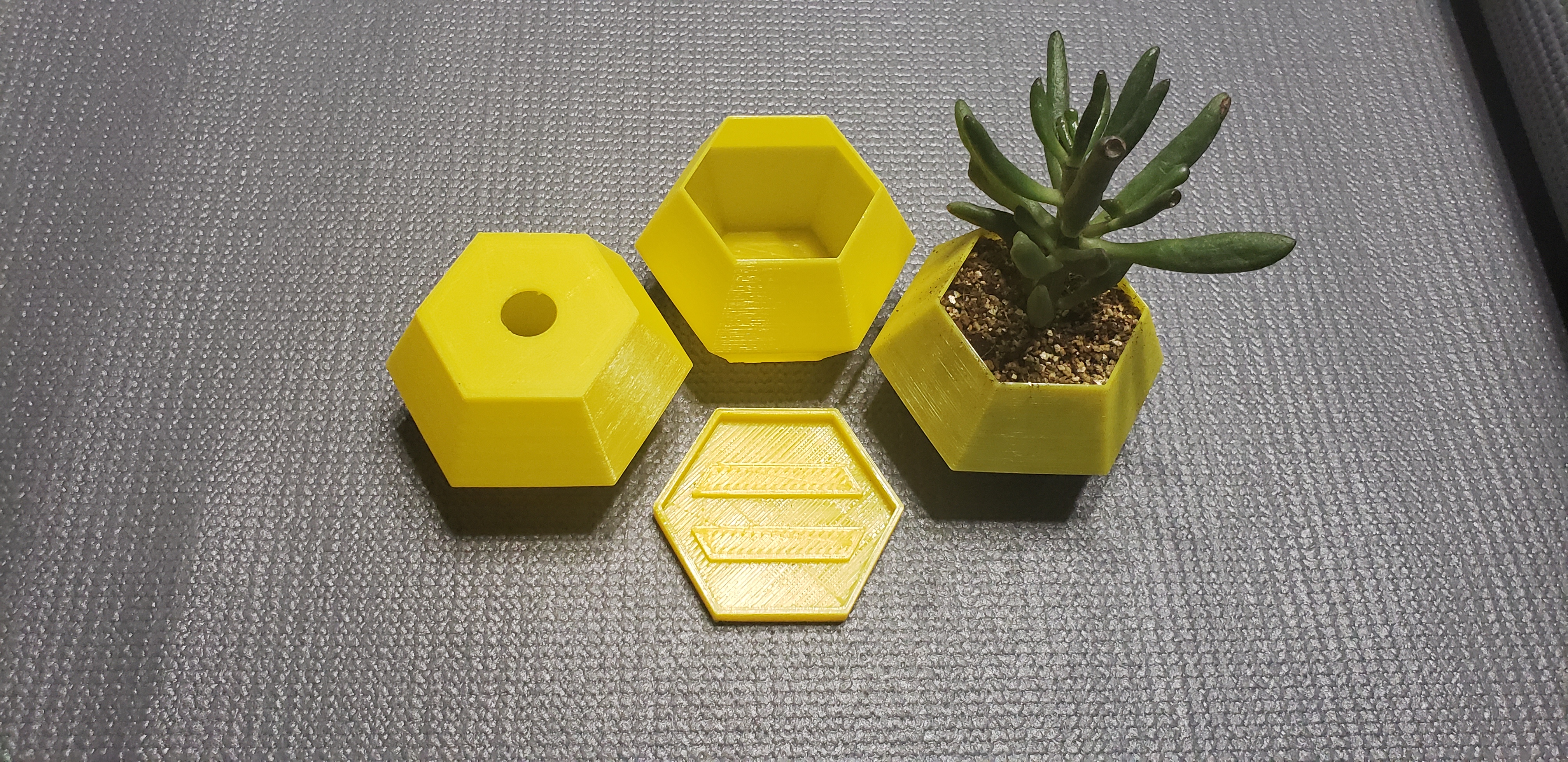Vase mode hexagon planter with base