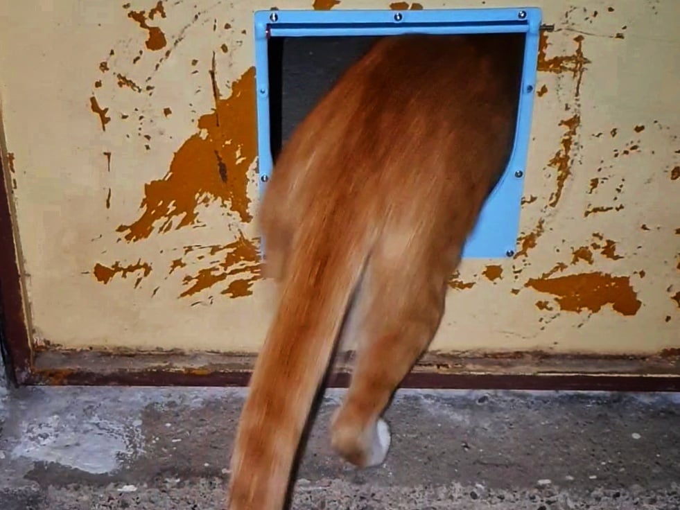 Cat Door Flap