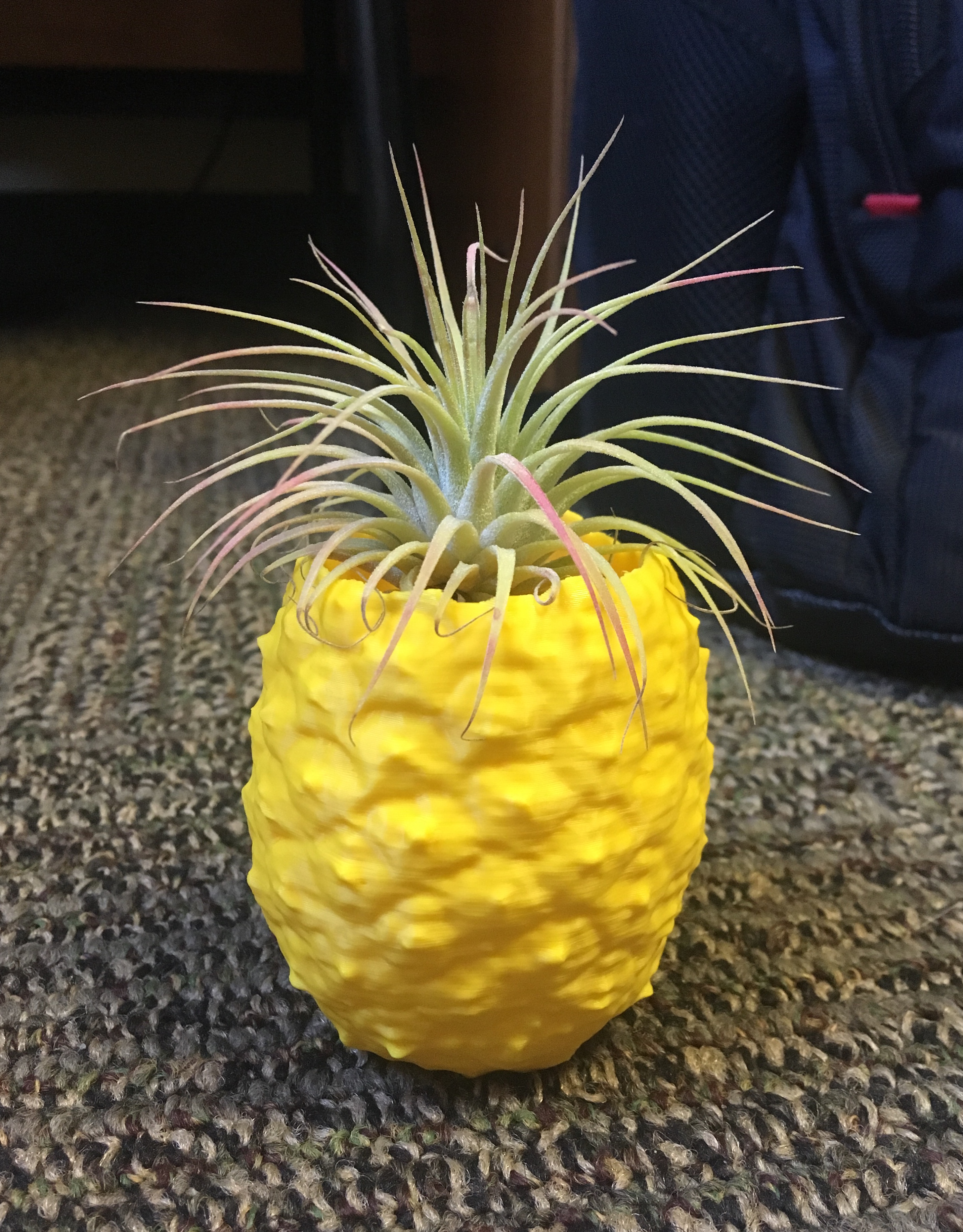 Pineapple Pot or Pen/Pencil/Item Holder