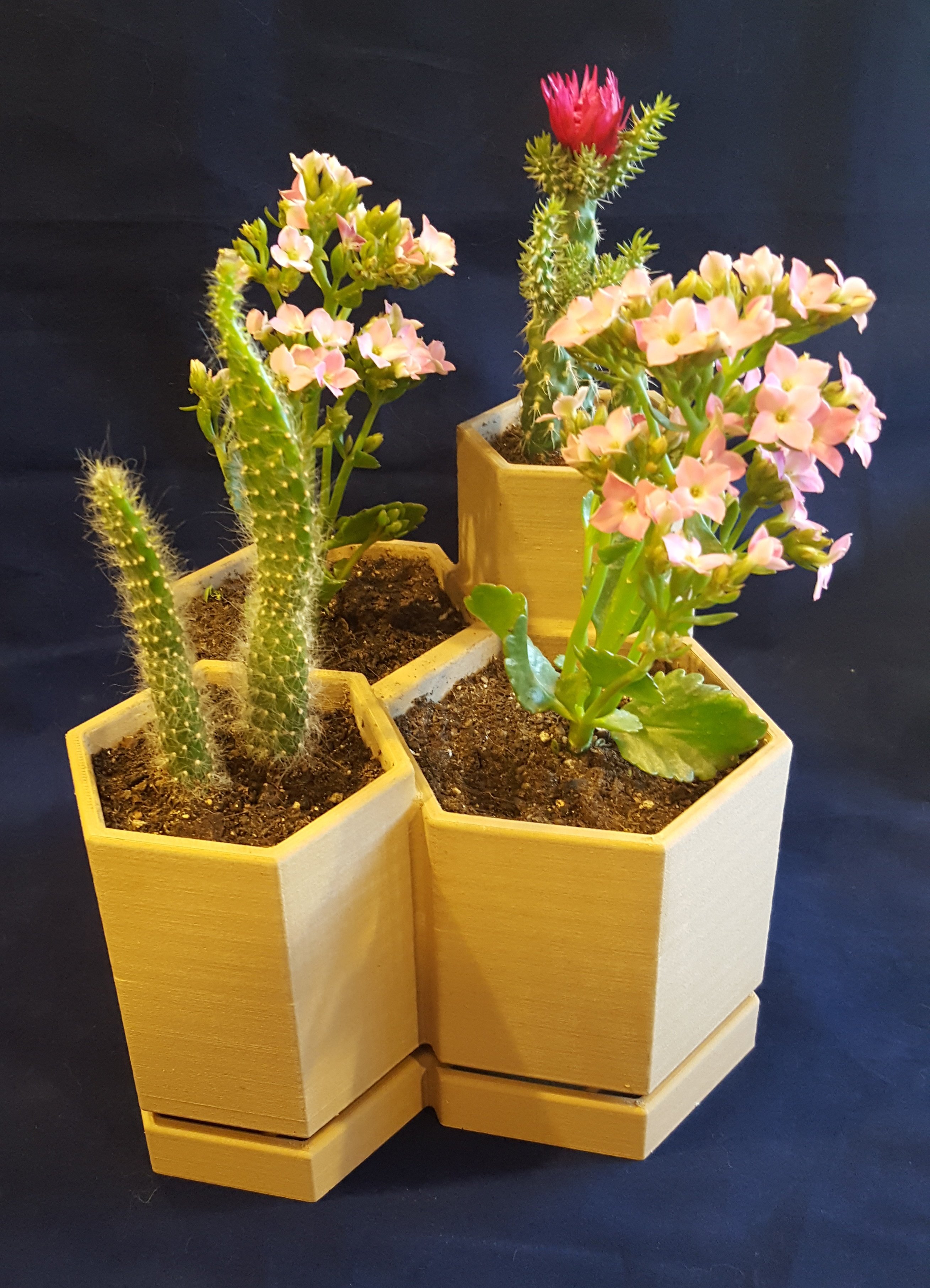 4 Hex Segments Flower Pot