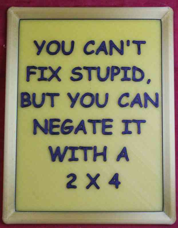 You Can't Fix Stupid (but you can negate it with a 2 x 4) plaque