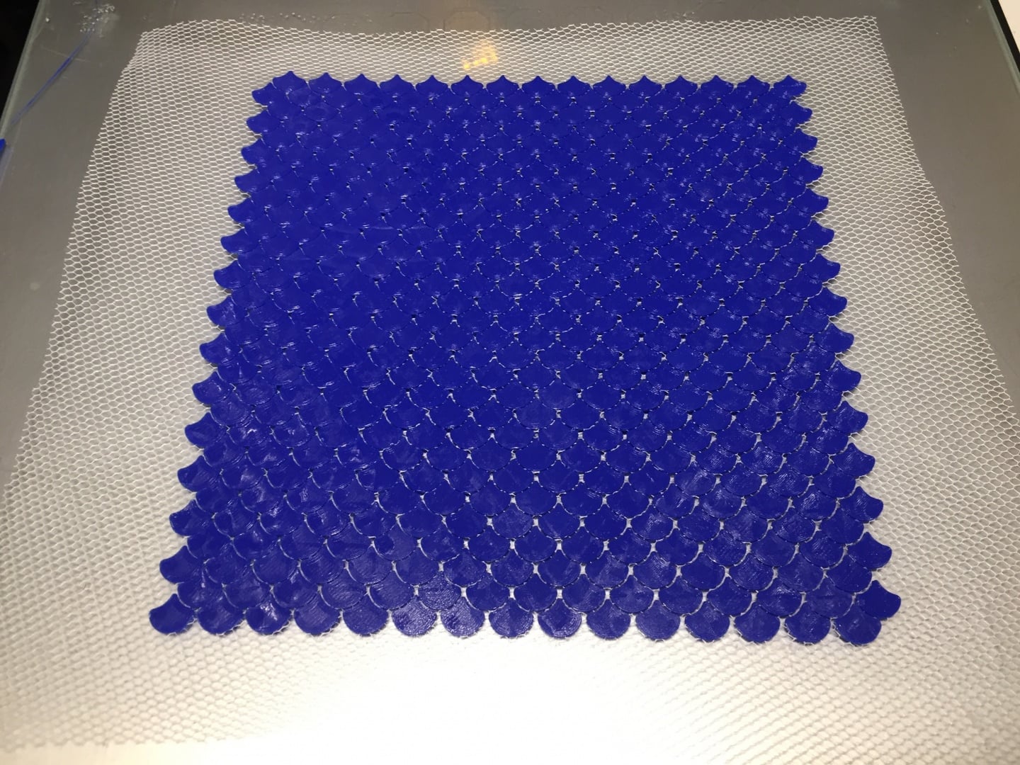 Fish Scale (on fabric)