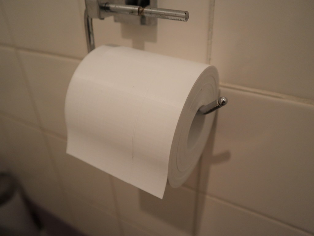 Toilet Paper Roll - Coronavirus Companion