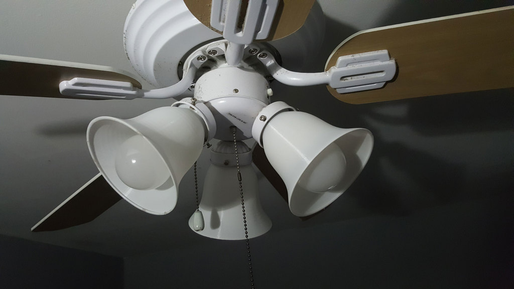Ceiling Fan Lamp Shade (2 hour print)