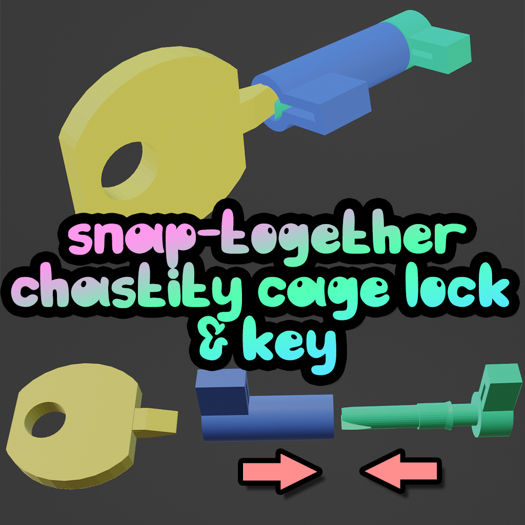 Snap-Together Chastity Cage Lock & Key