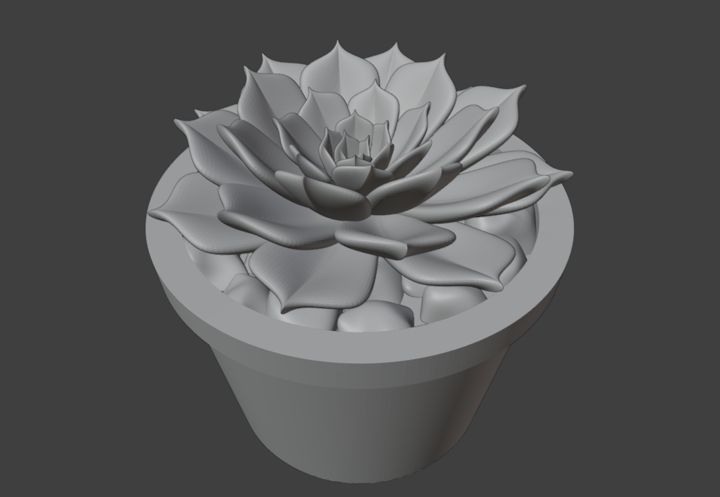 Succulent in pot 3