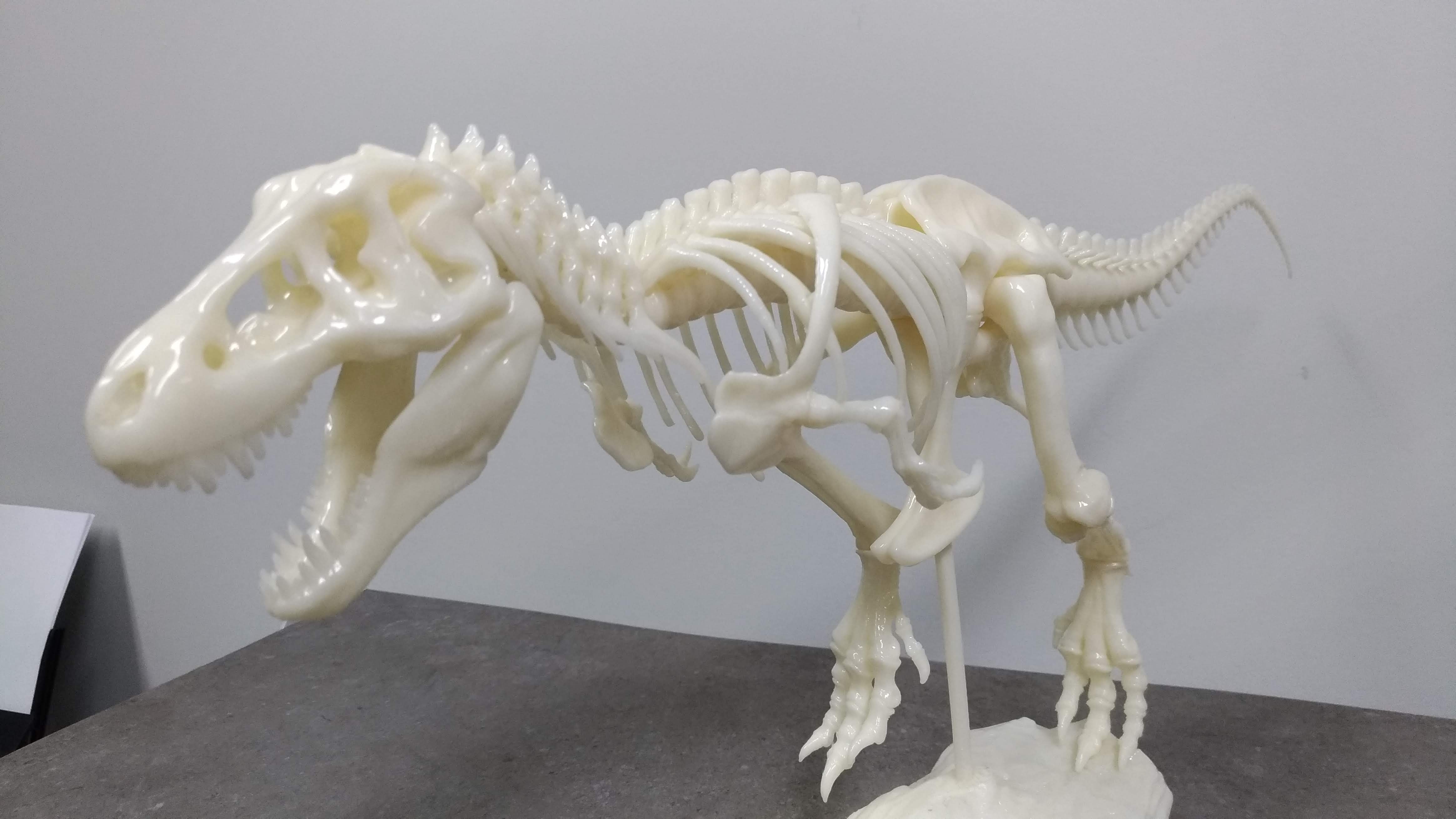 T-Rex Skeleton