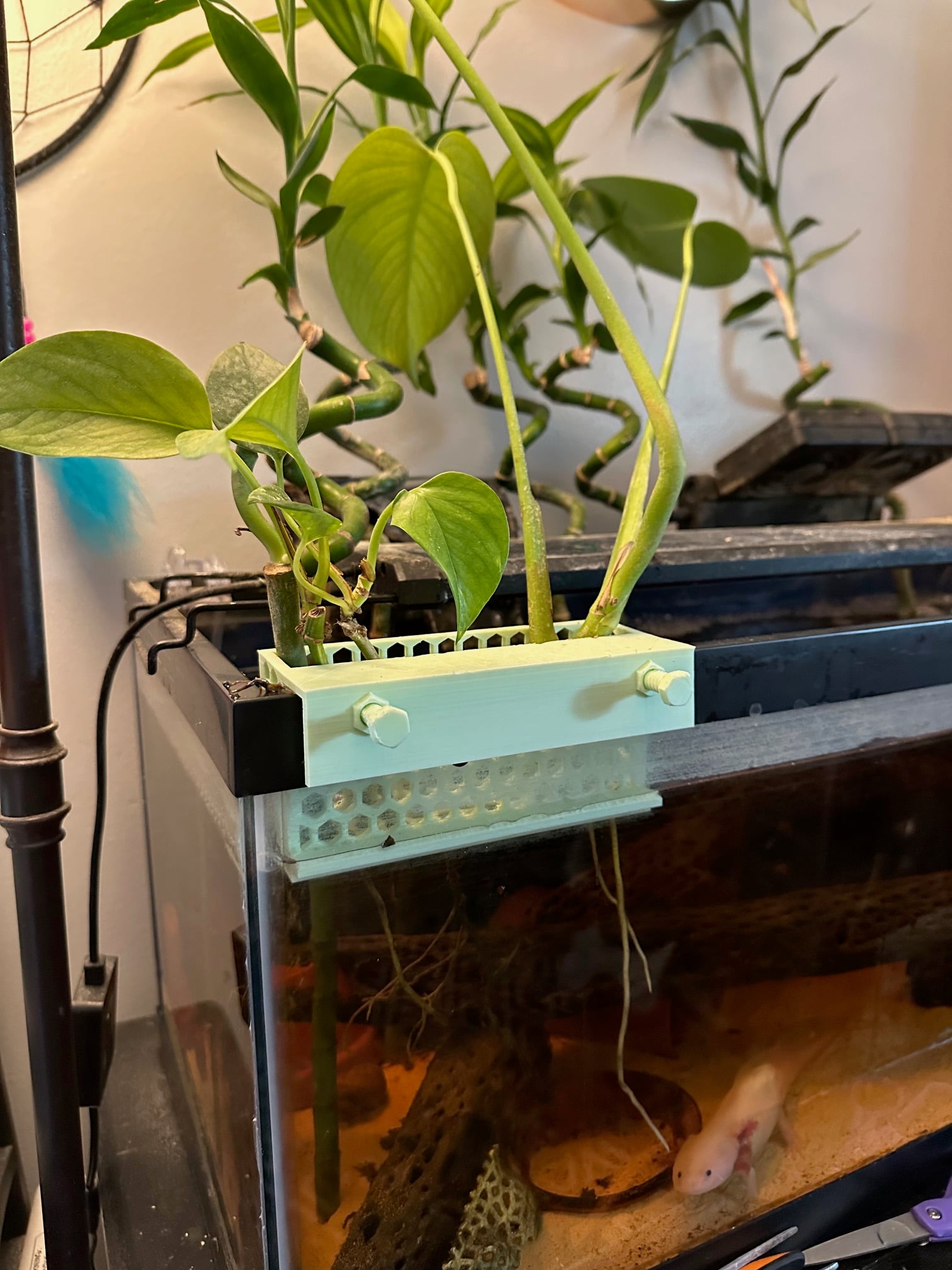 Rimmed Tank Planter