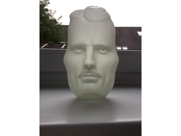 The Vase Face Tesla Einstein Hollow Face Illusion