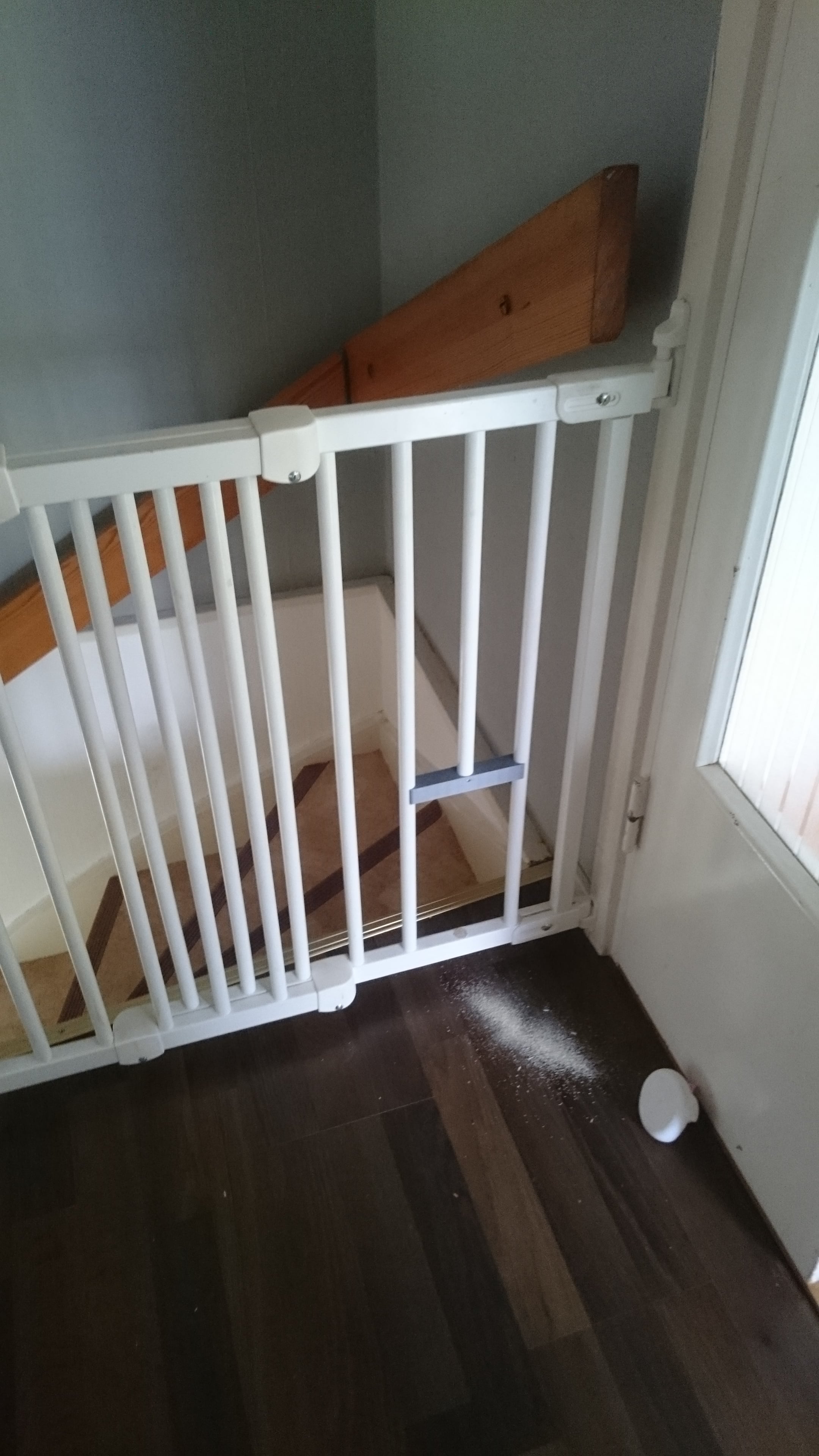 Child gate vs Old cat
