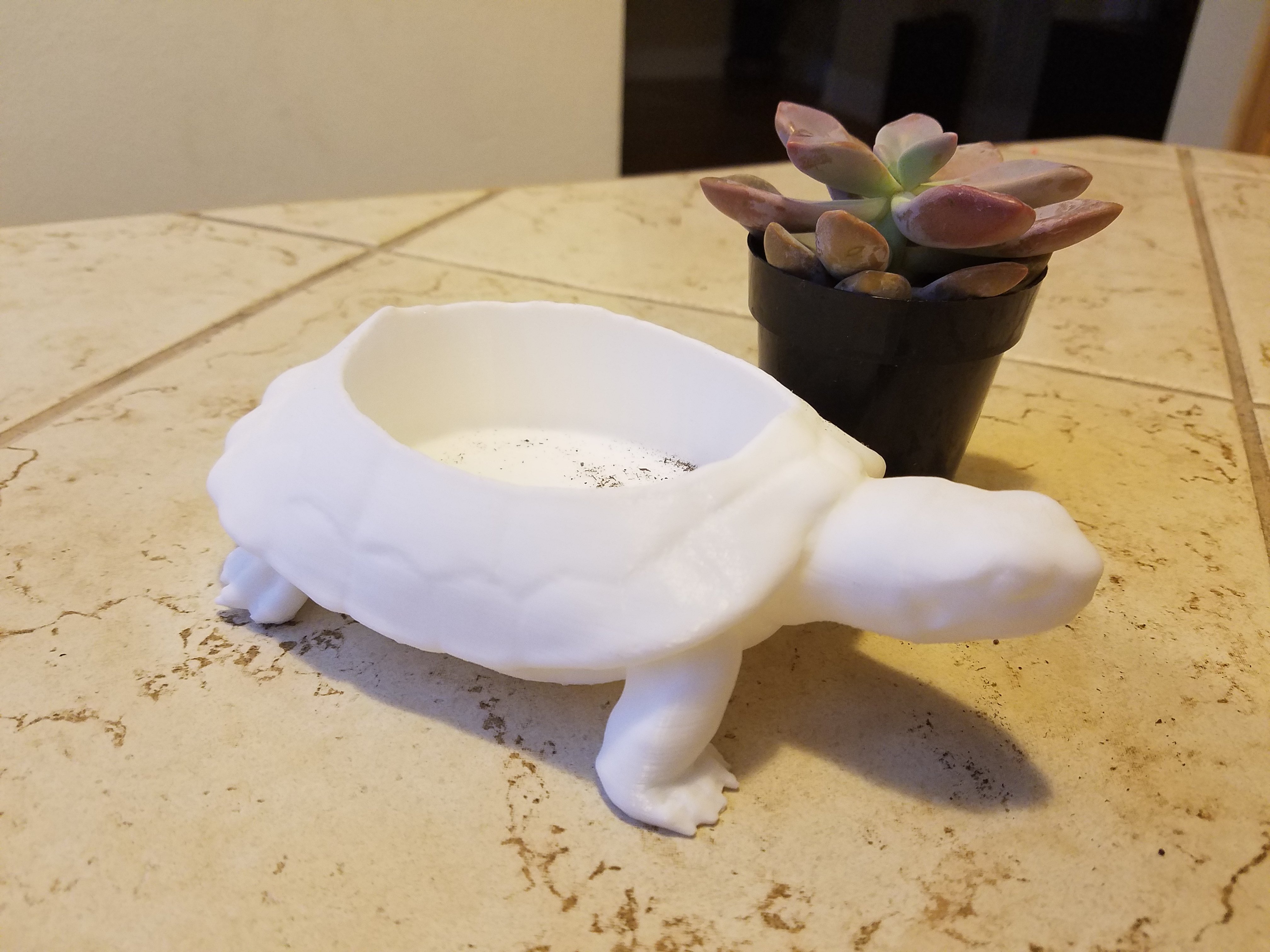 Turtle Planter