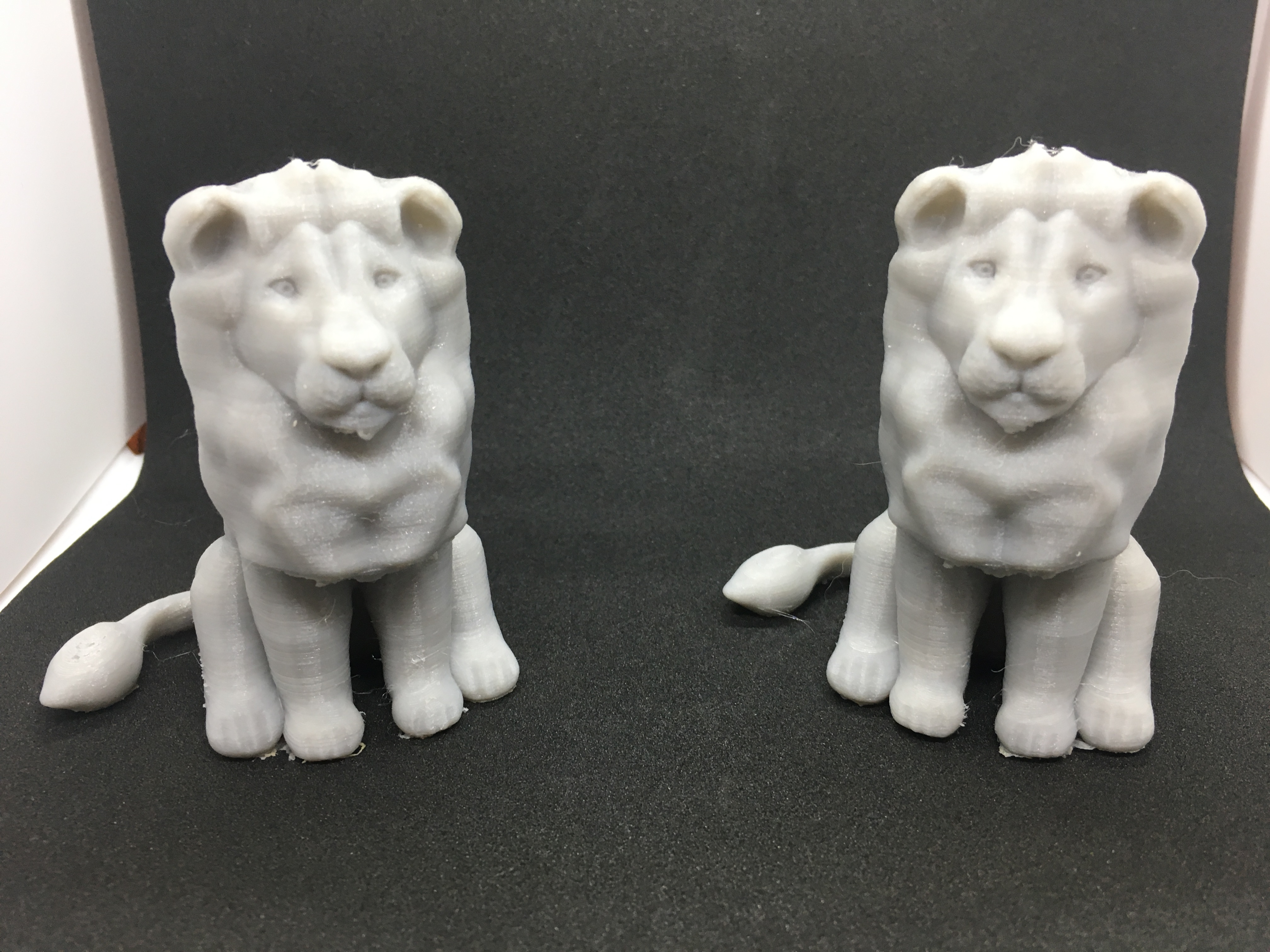 Sitting Lion