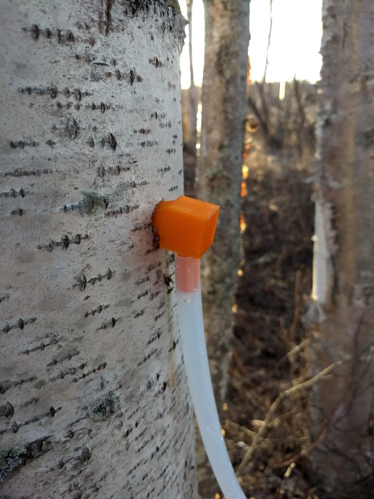 Tree sap tap (spile)