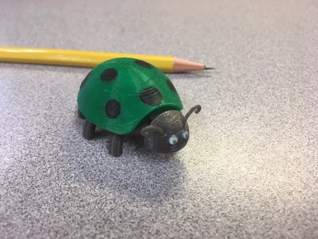 Ladybug
