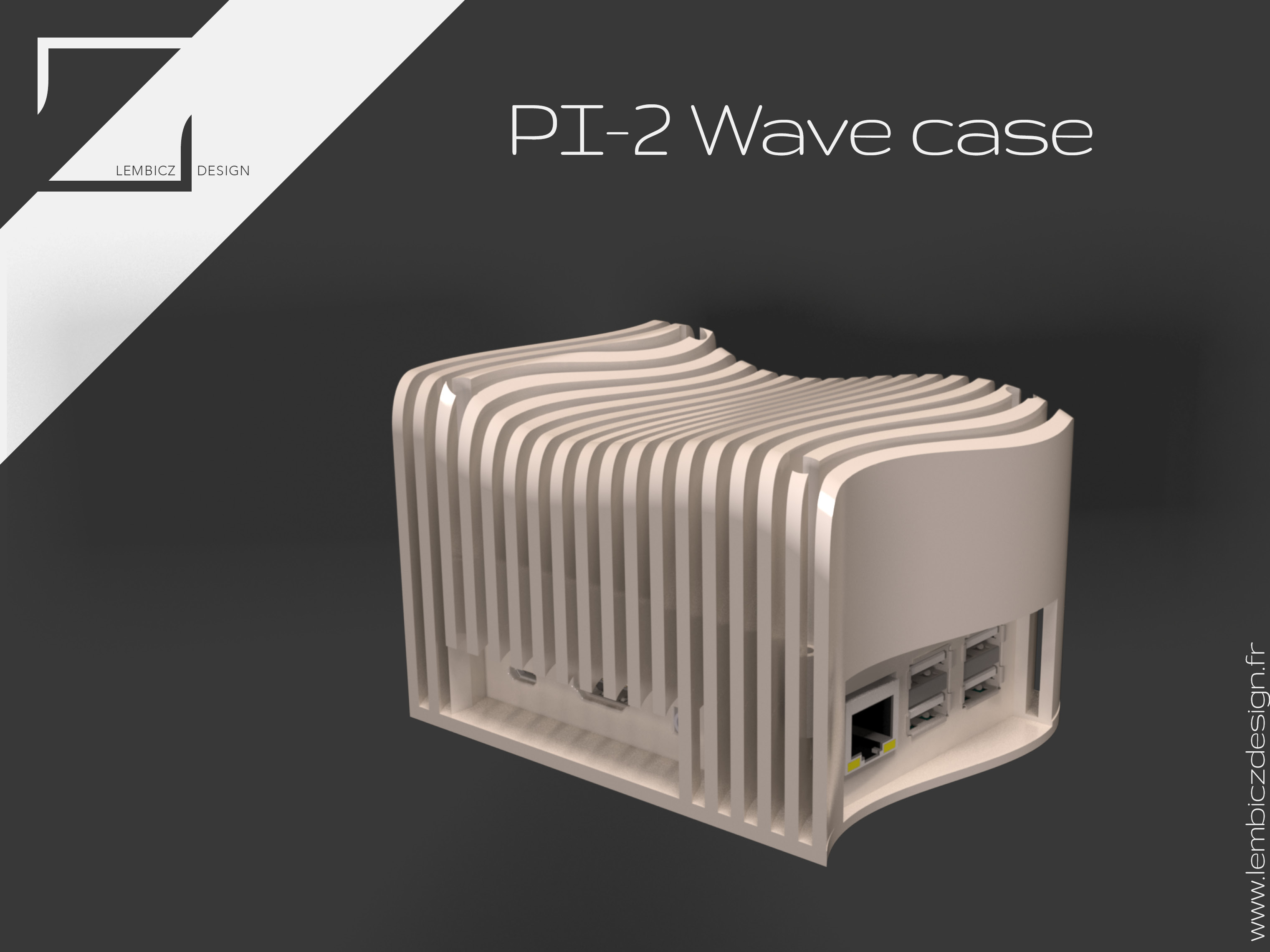 Raspberry Wave Case