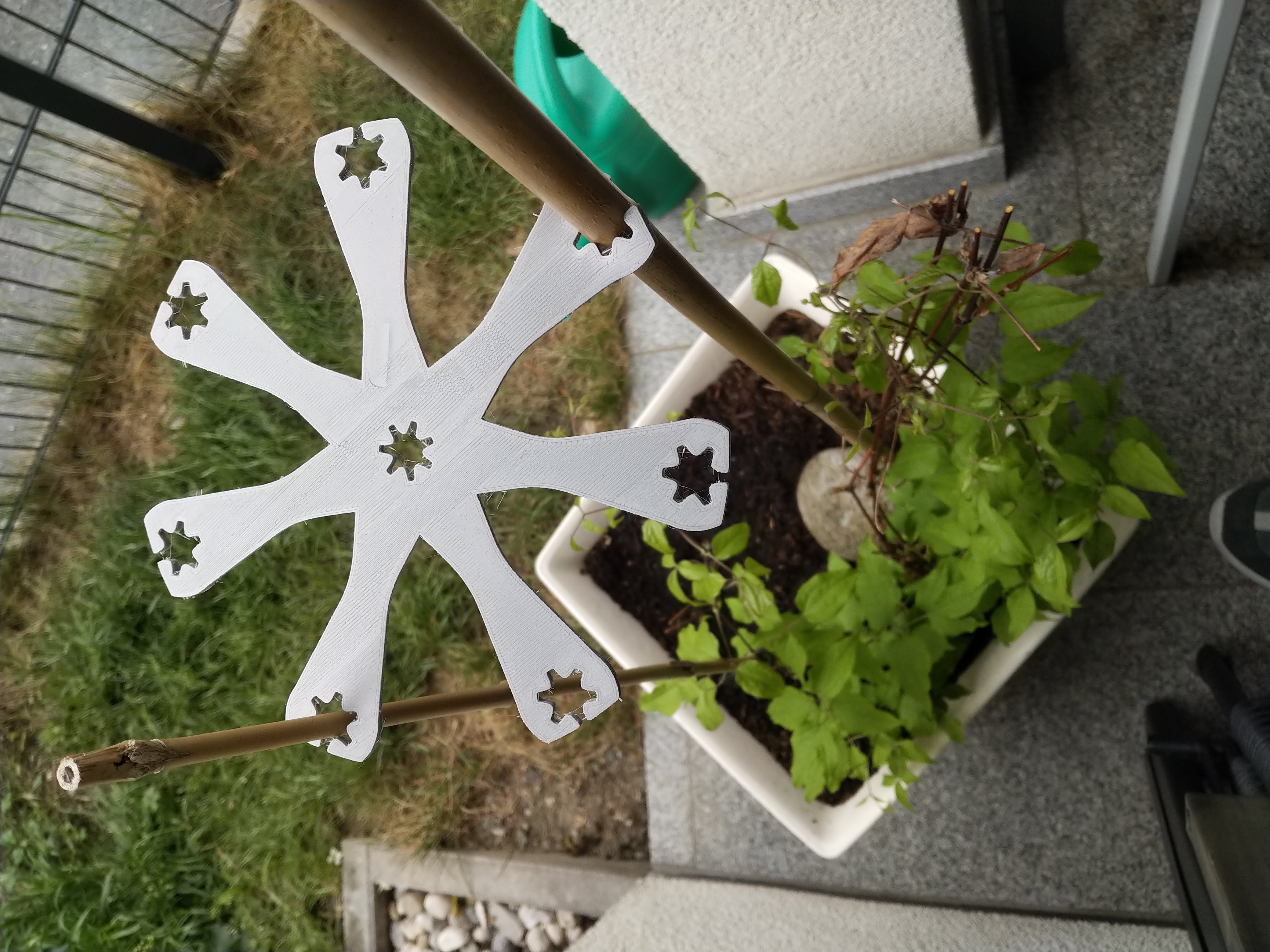 Bamboo sticks plants climbing aid