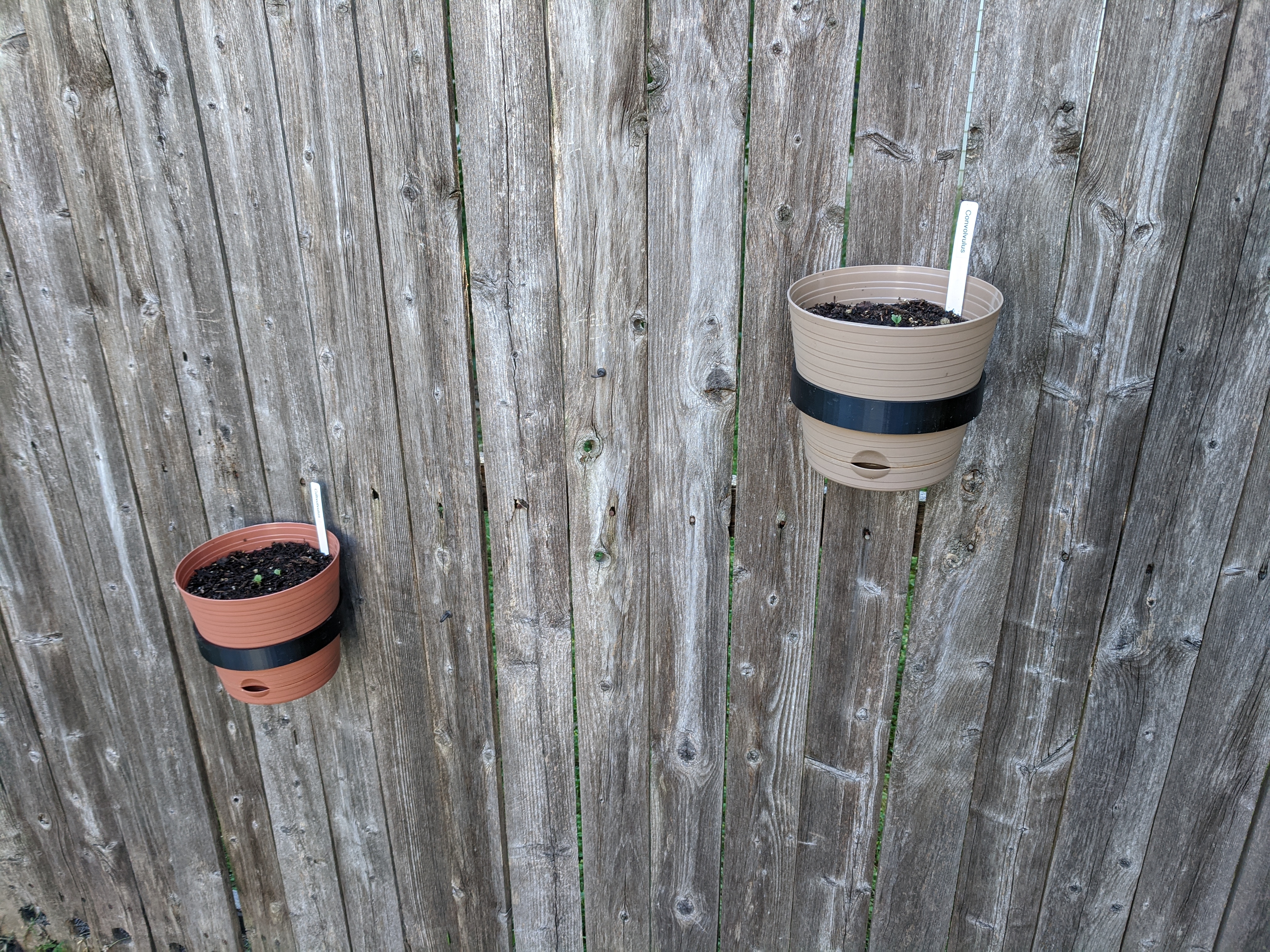 Fence Mounted Plant Pot Holder