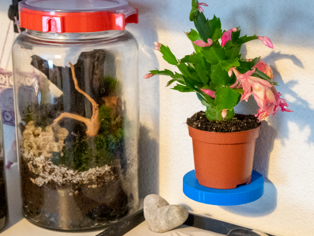 Round Floating Shelf
