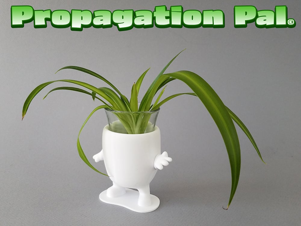 Propagation Pal