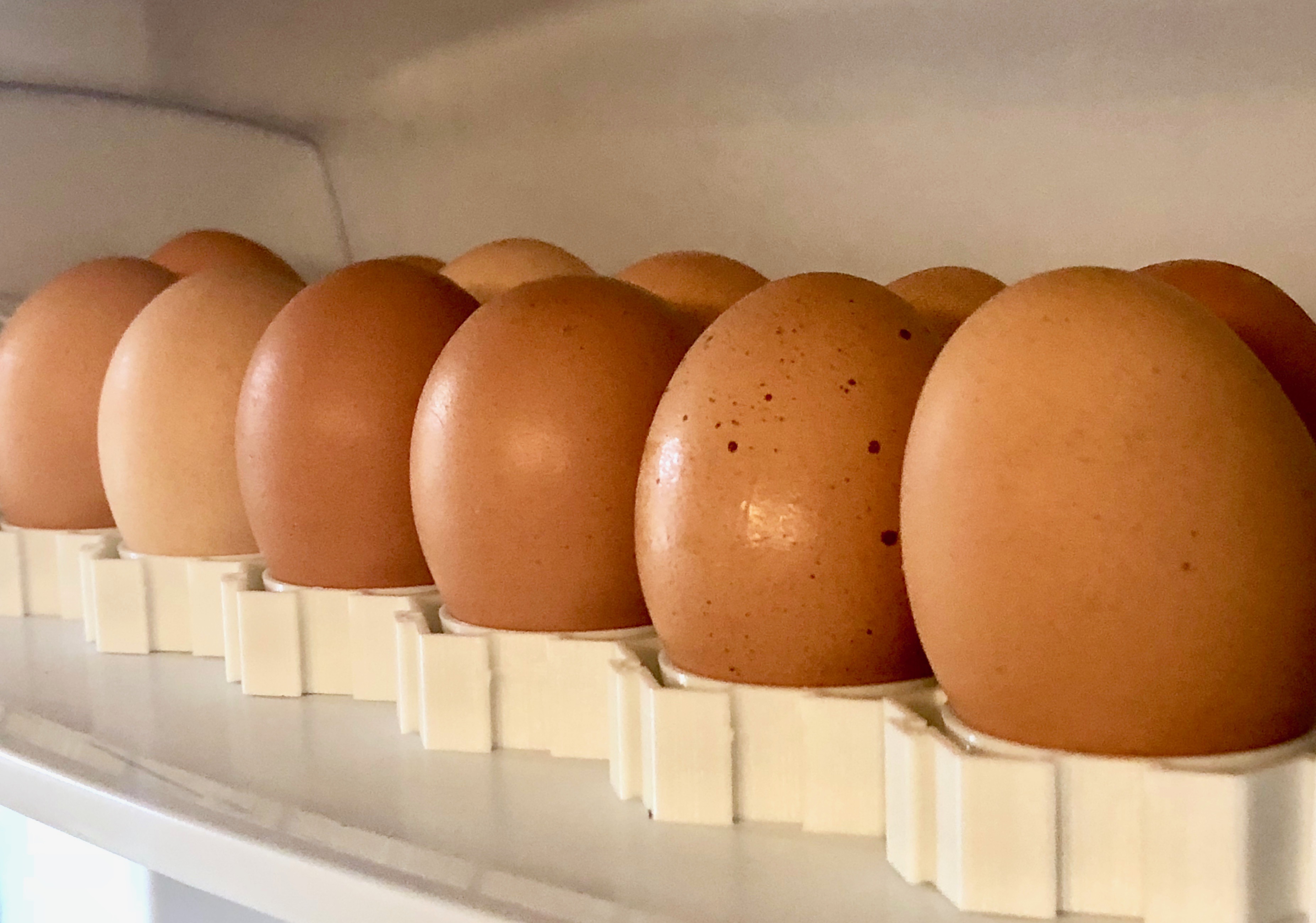 Modular Egg Tray