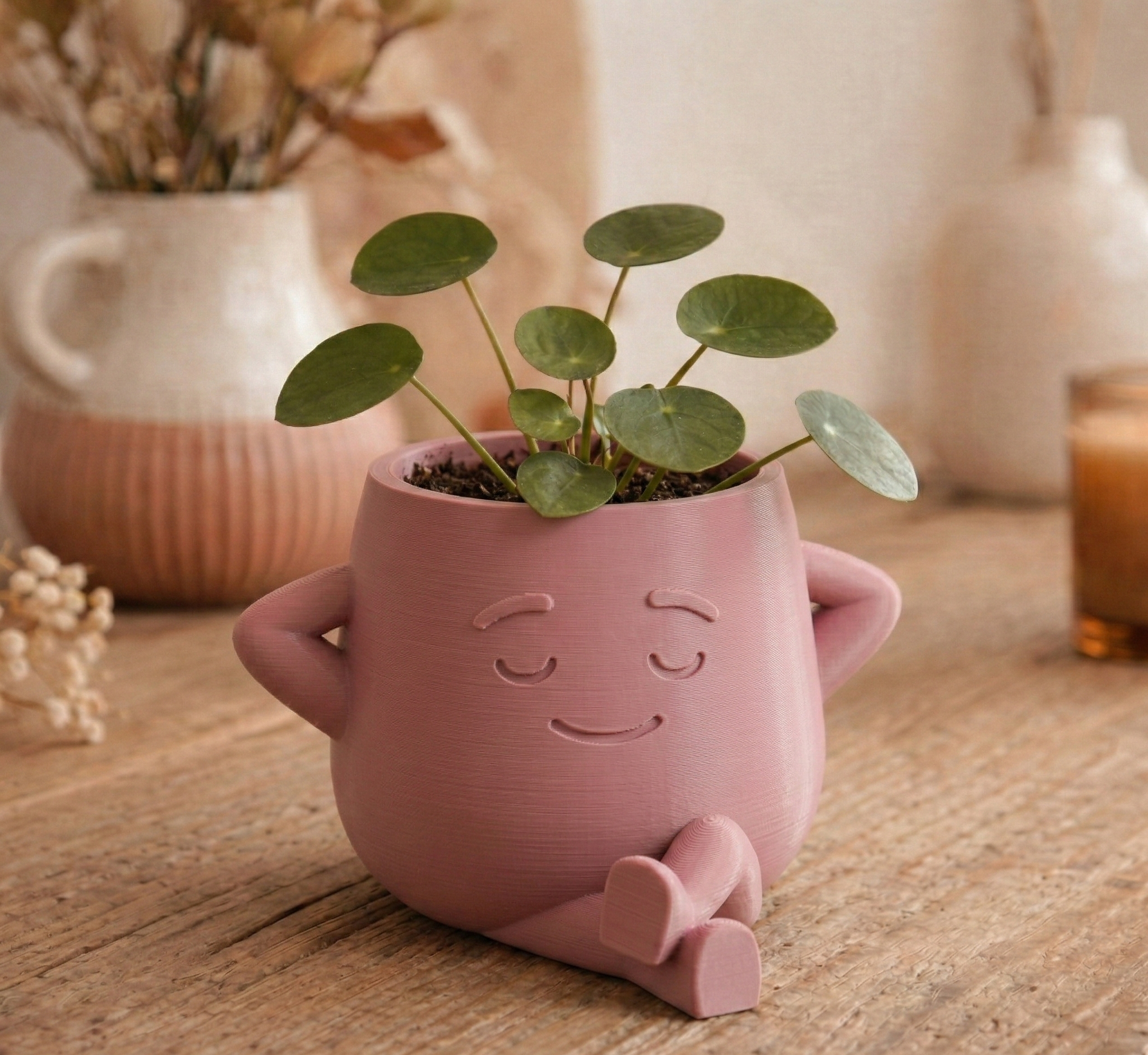 "The Dreamer" - Cozy Zen Planter & Decor