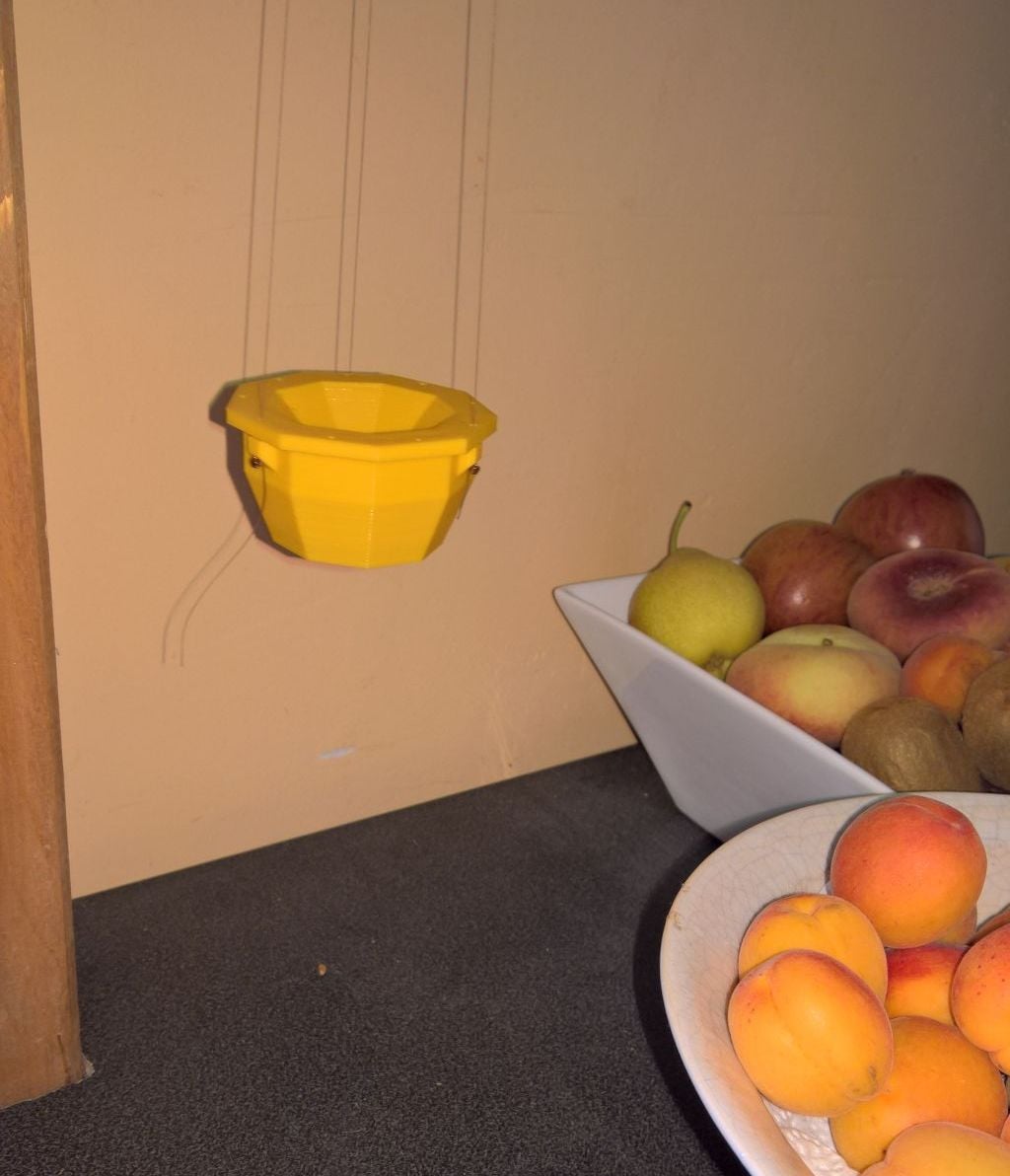 fruit fly trap
