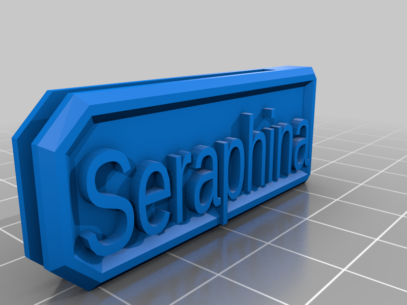 My Customized Tabletop RPG Initiative Marker - Seraphina