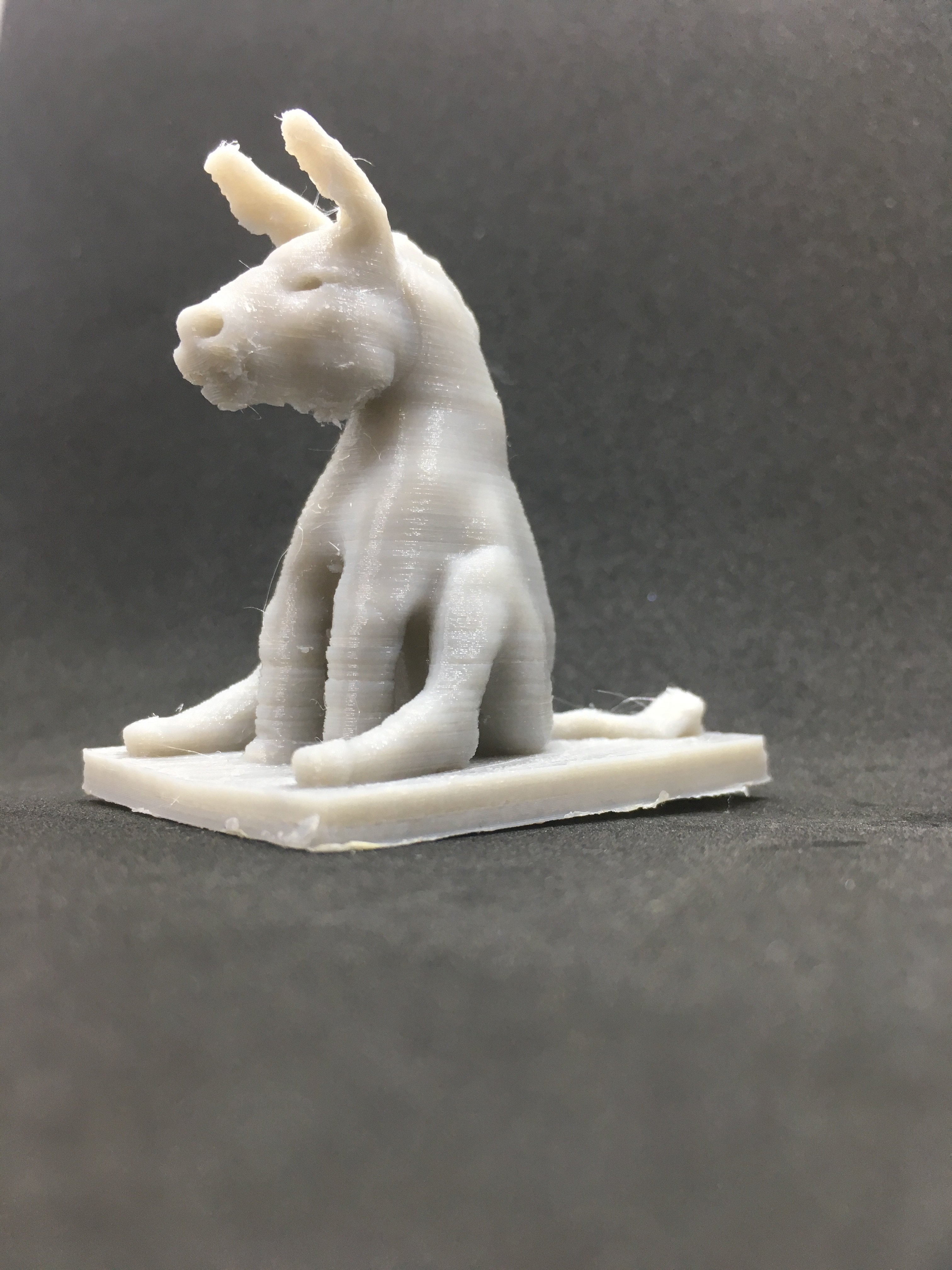A simple donkey in a sitting position