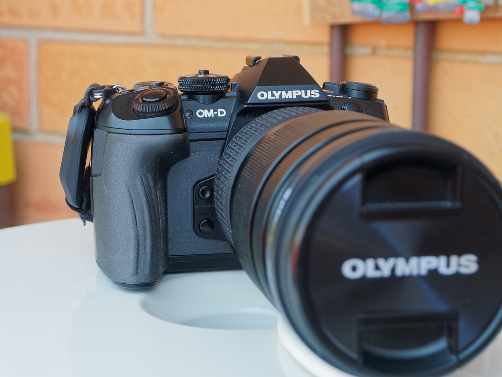 Olympus E-M1 II grip replacement