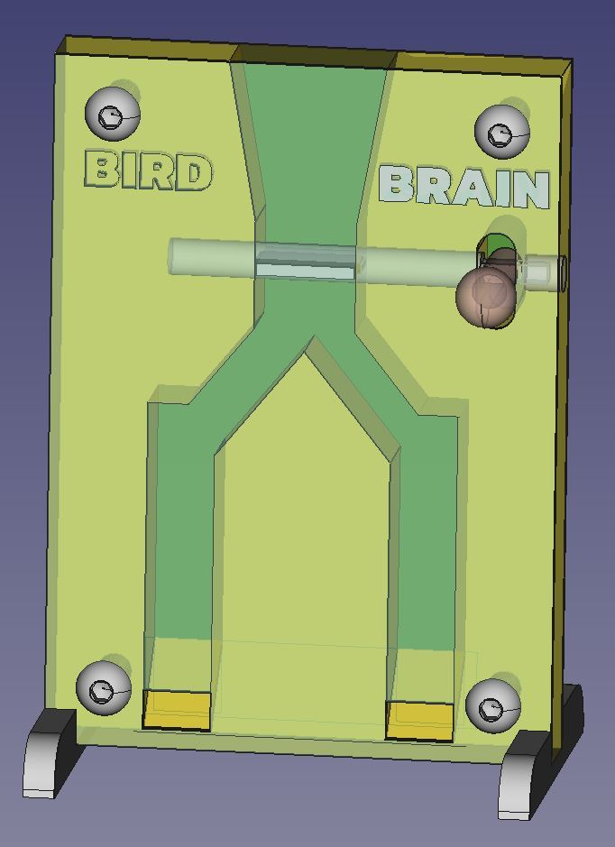 Bird Brain Bird Puzzle for Birds #2