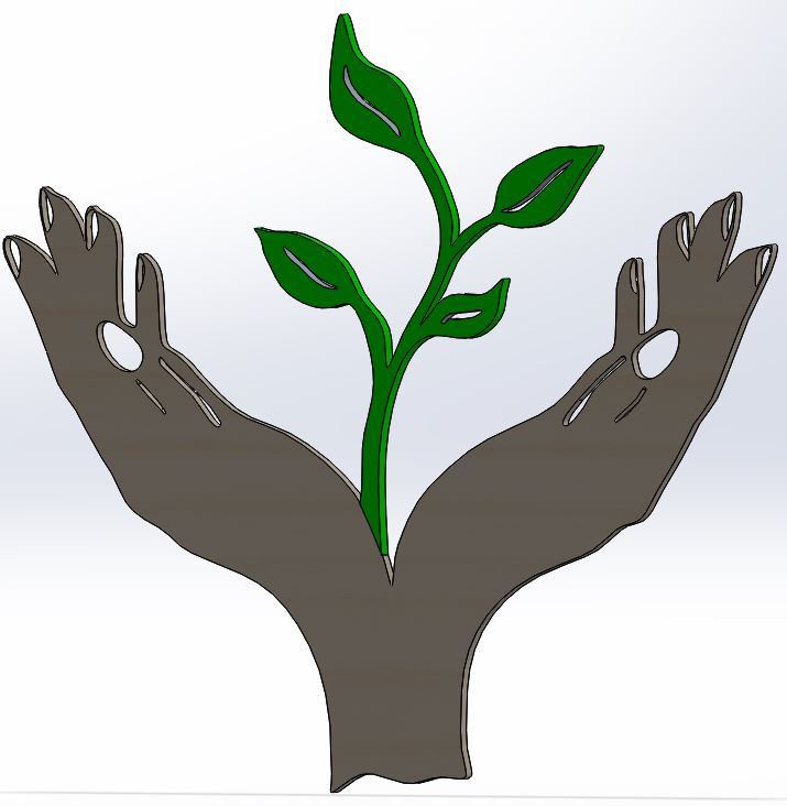 Hand Holding Plant