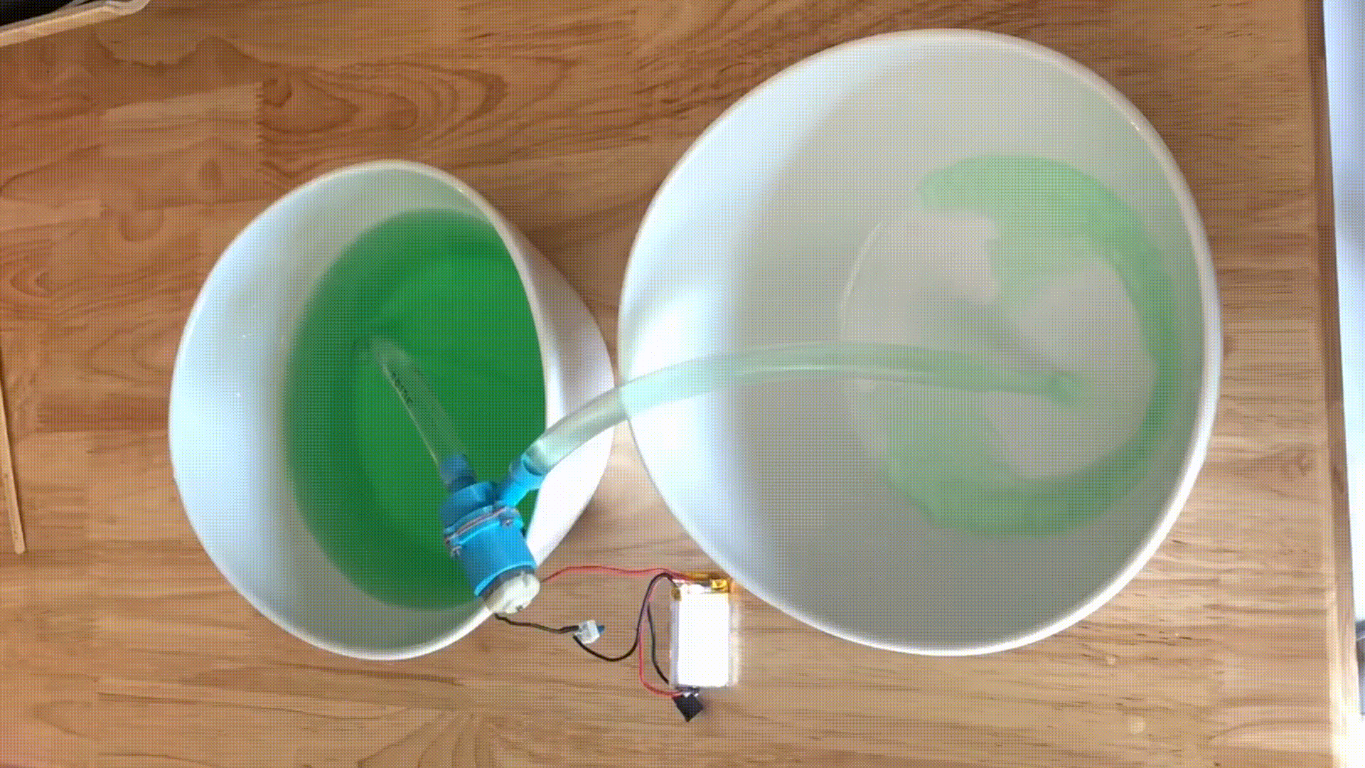 Functional Micro Water Pump