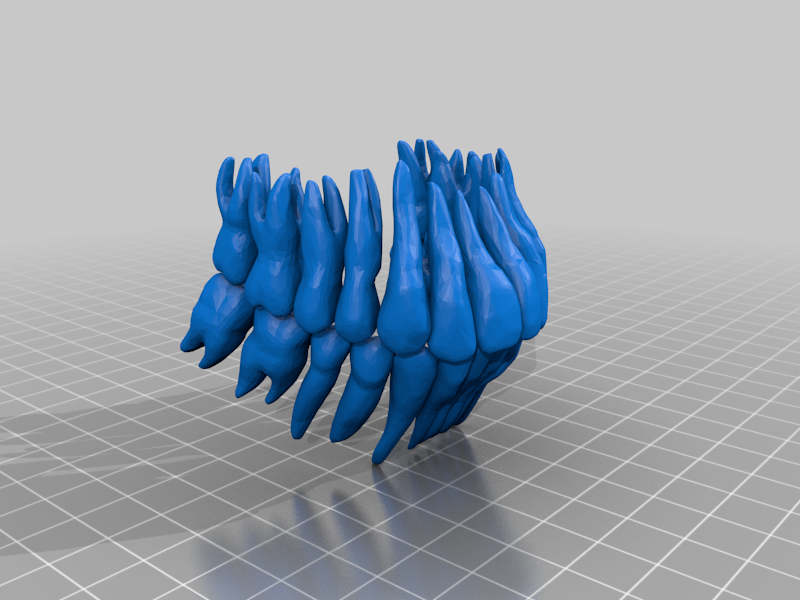 Human teeth
