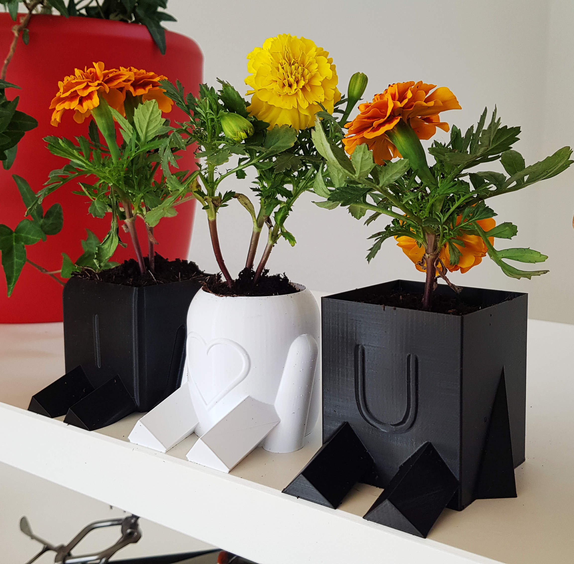 Planty Potter (vase mode) for Mother's Day
