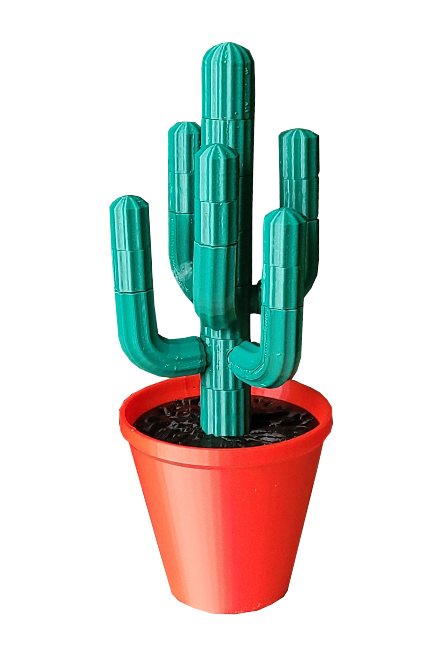 Modular desert cactus