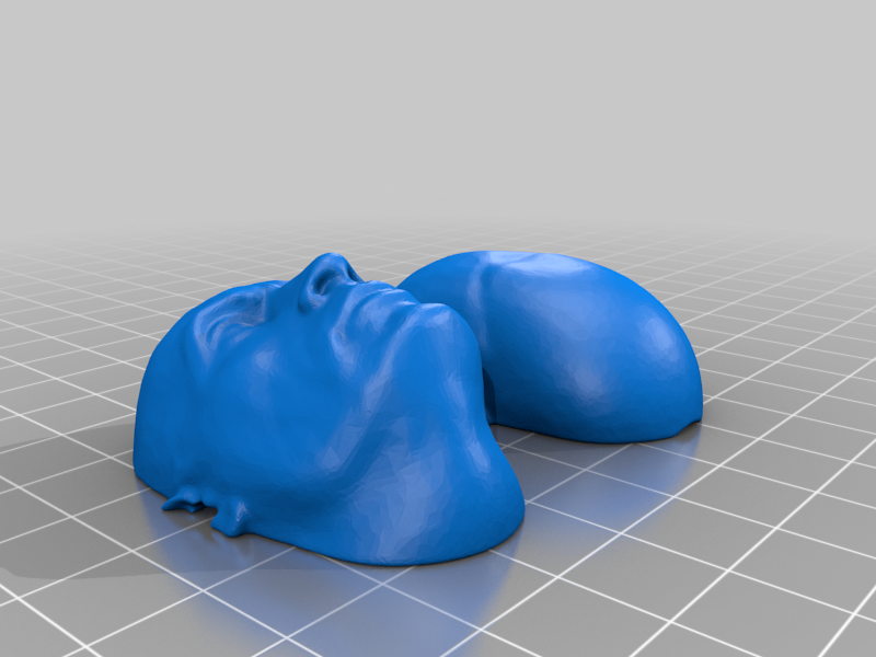 The Rock Filament Filter/Cleaner