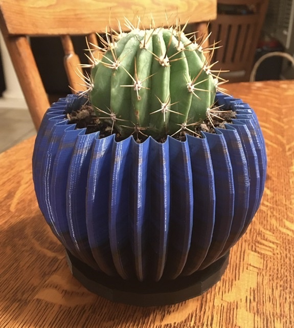 Cactus Planter with Drainage Tray