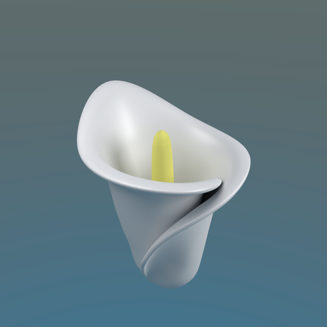 Calla Lily