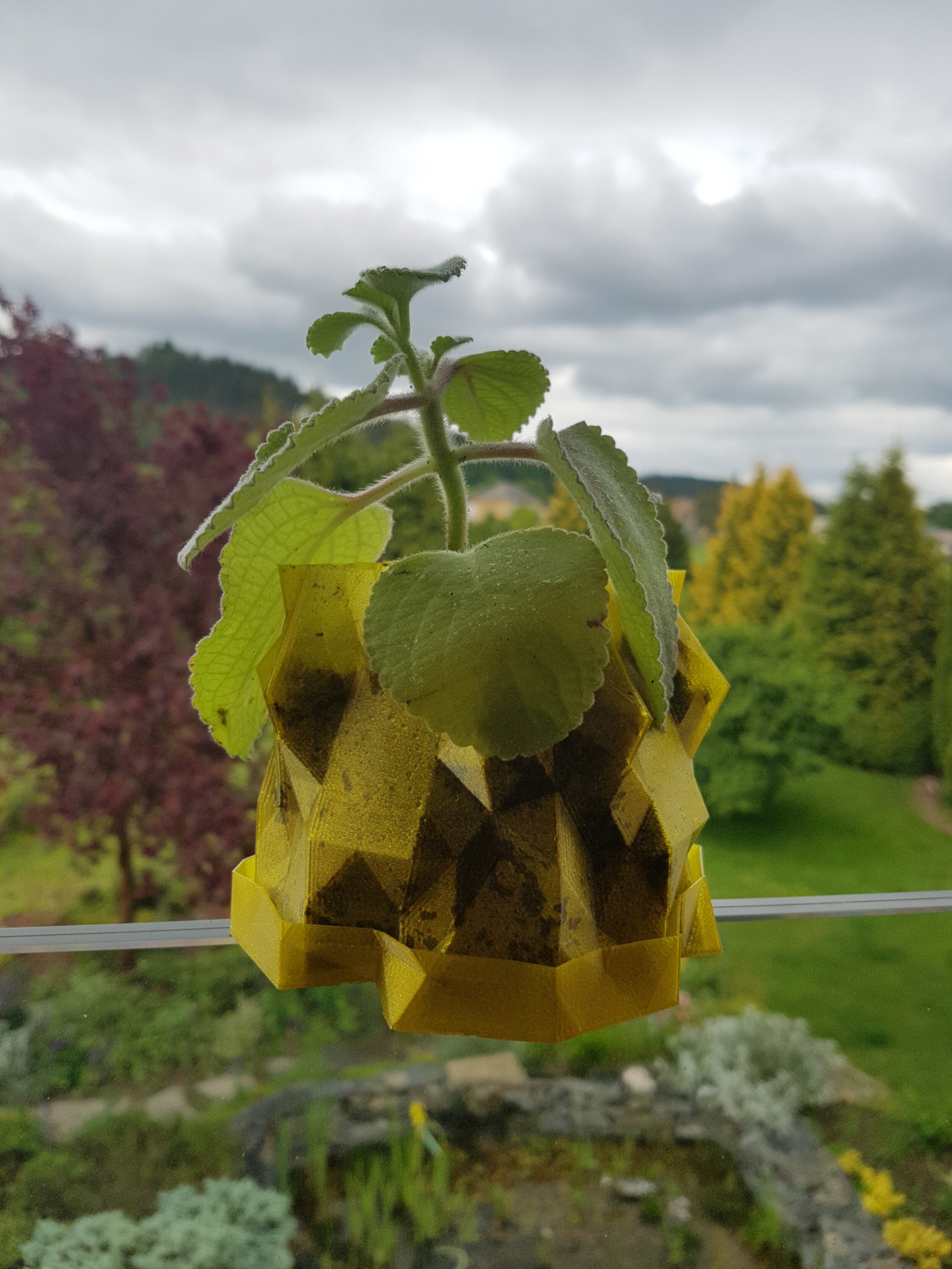 ALIEN Planter pot + saucer