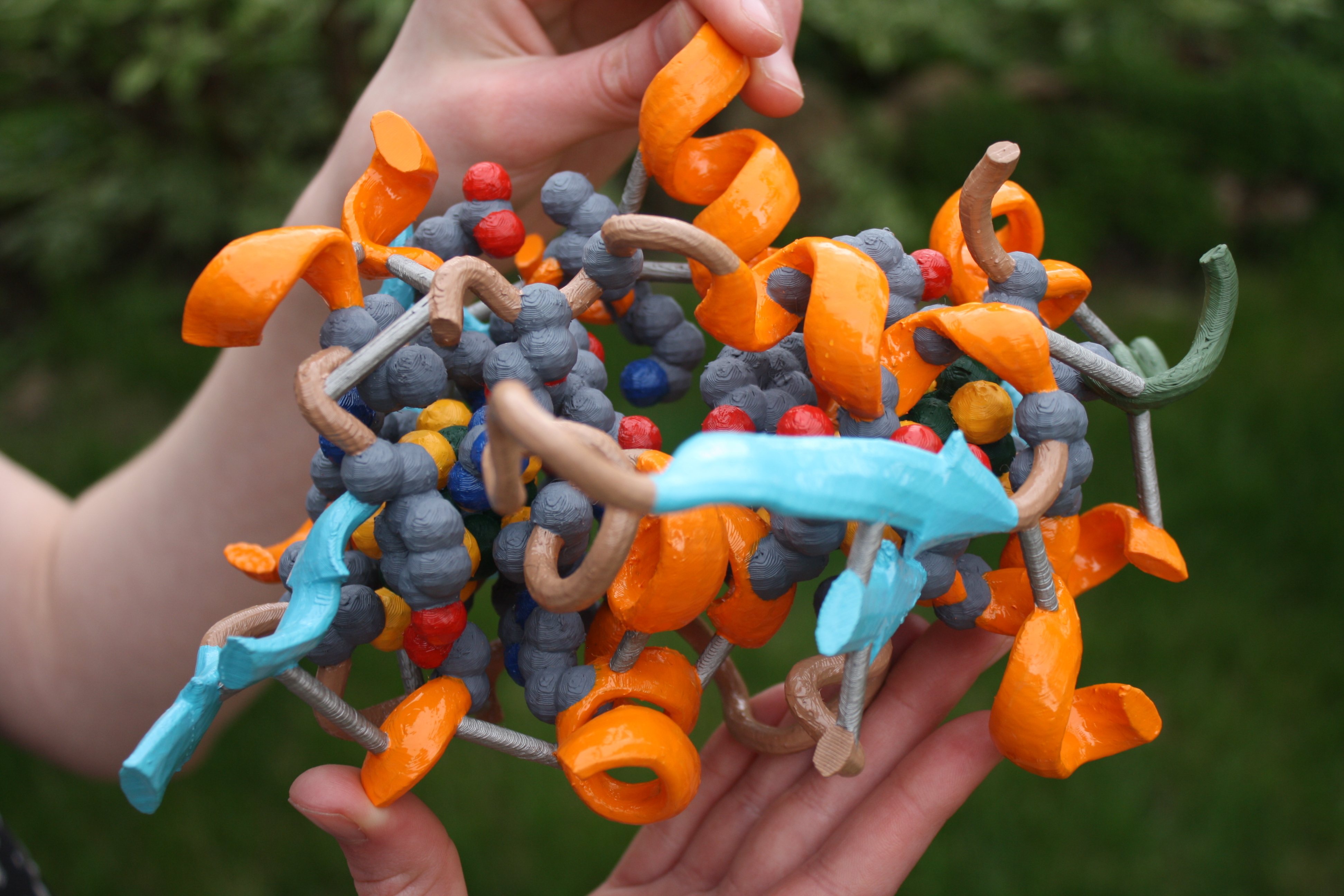 Nitrogenase-Cutaway