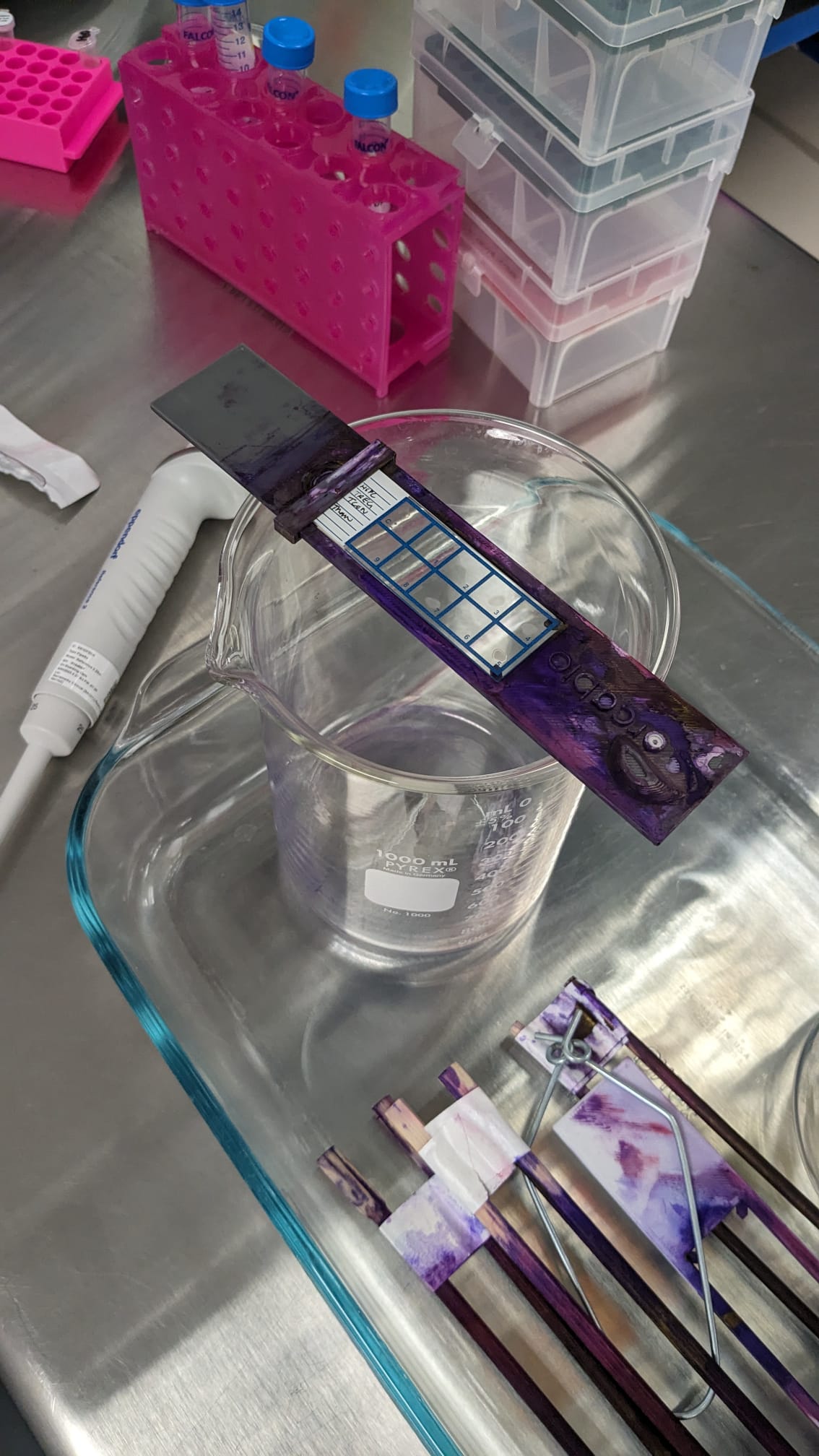 Microscope slide holder for endotoxin staining