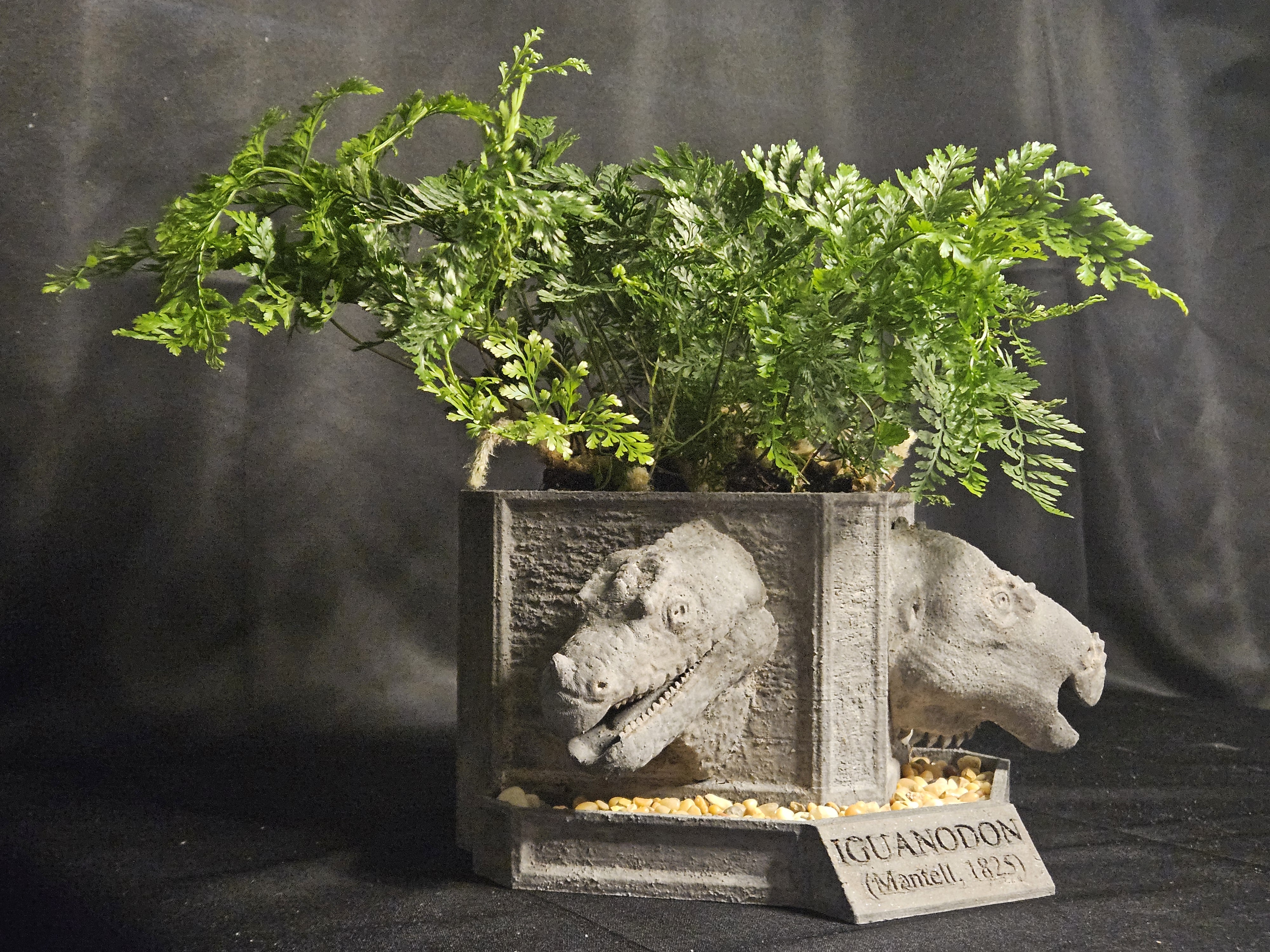 Iguanodon Planter