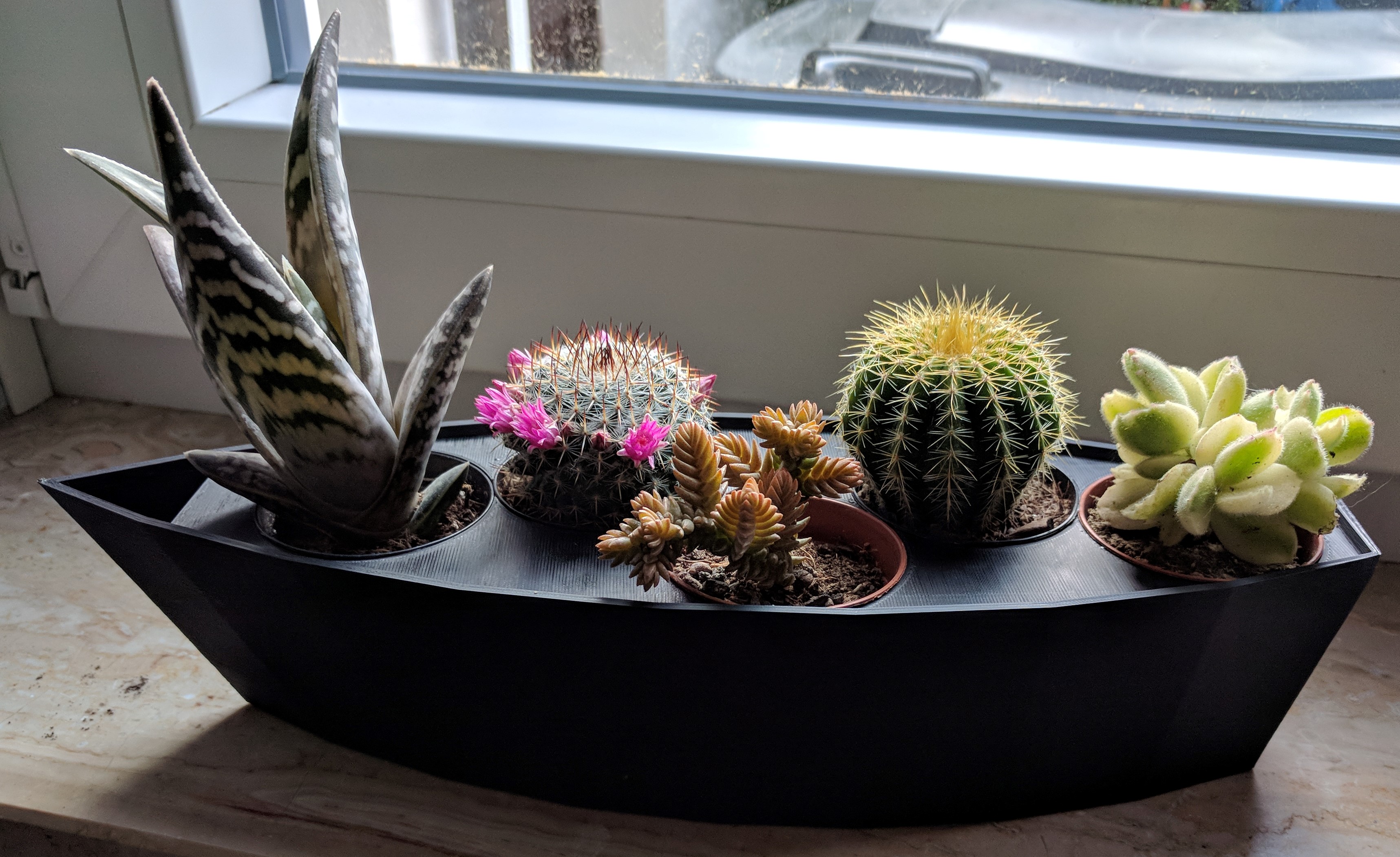 Flowerpot for Five Mini-Cactus