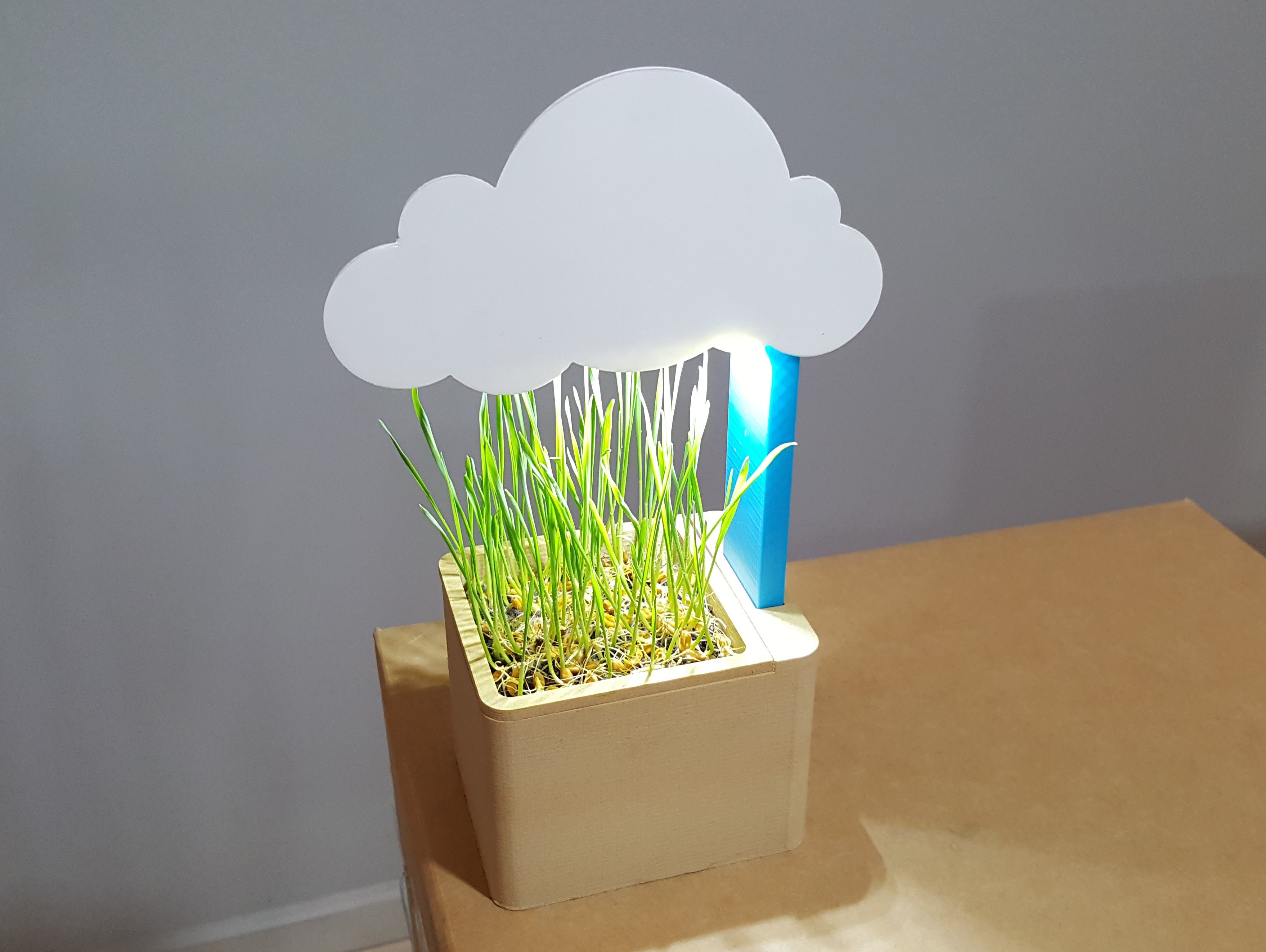 Cloud Flower Pot
