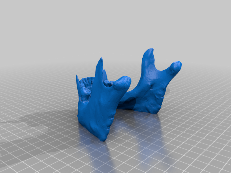 Vampire Skull Jaw Phone Holder