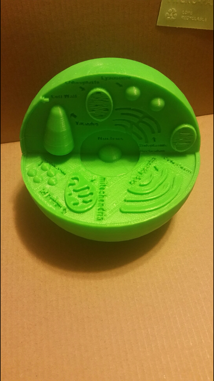 Plant Cell