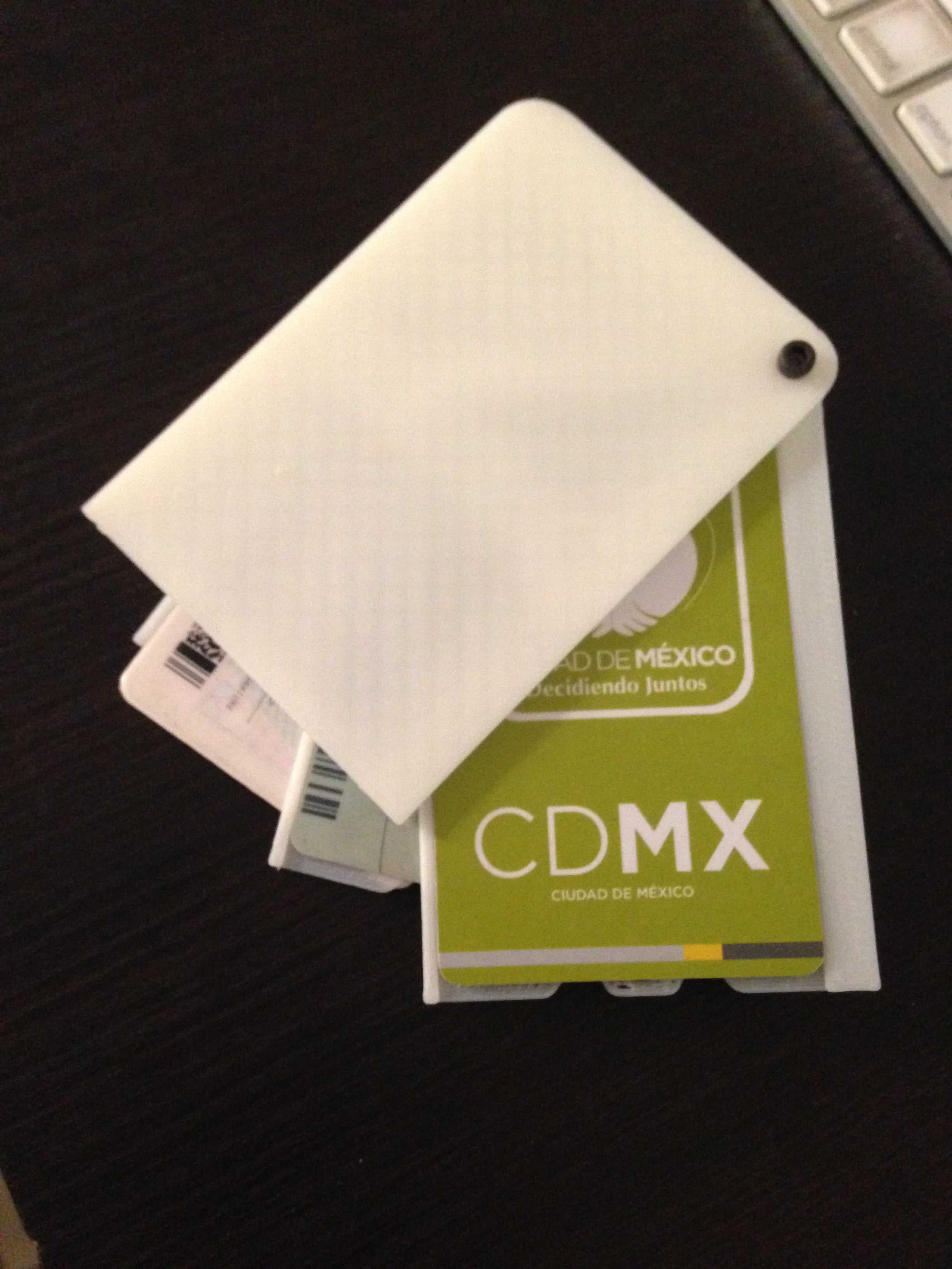 simple credit card holder