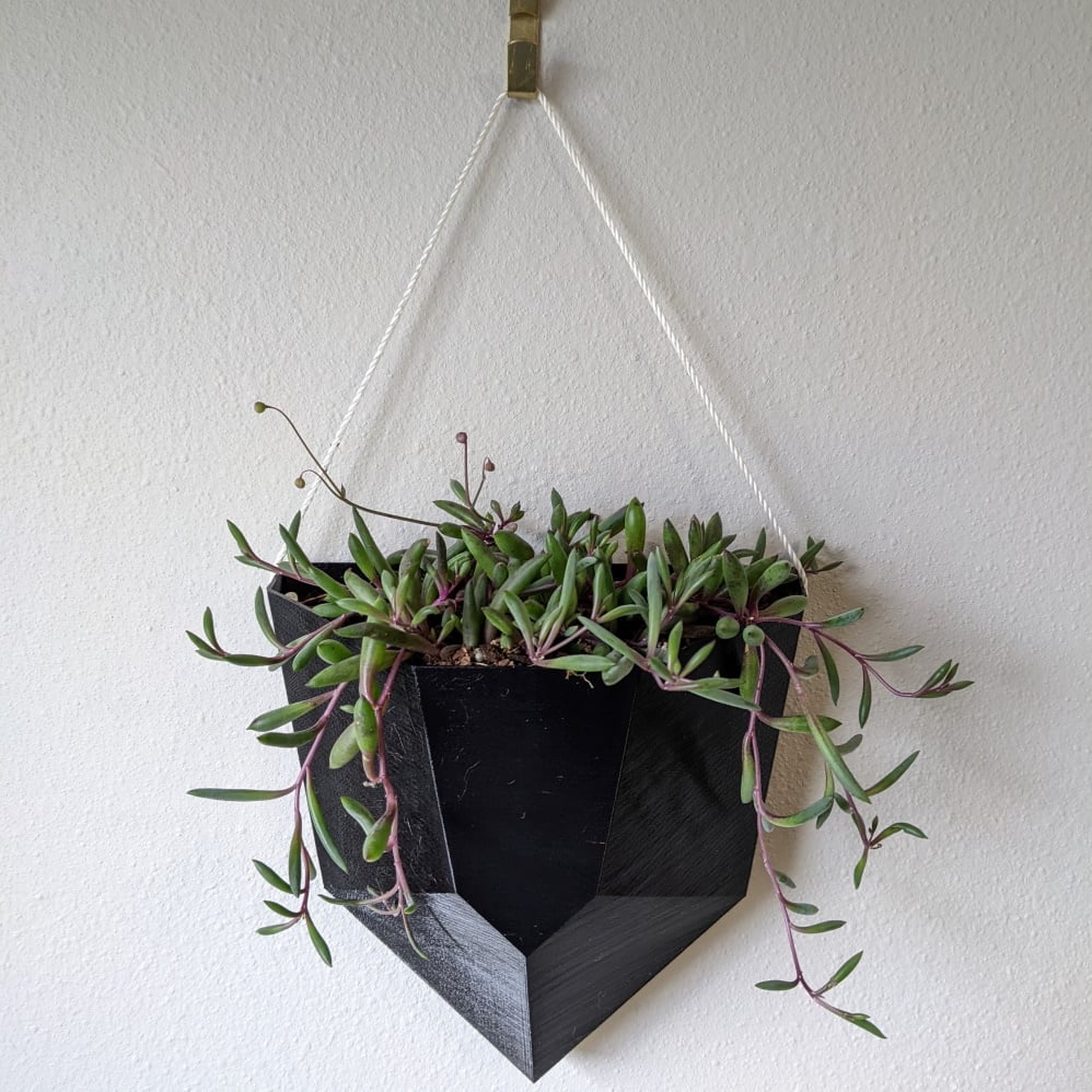 Wall Hanging Planter Crystal