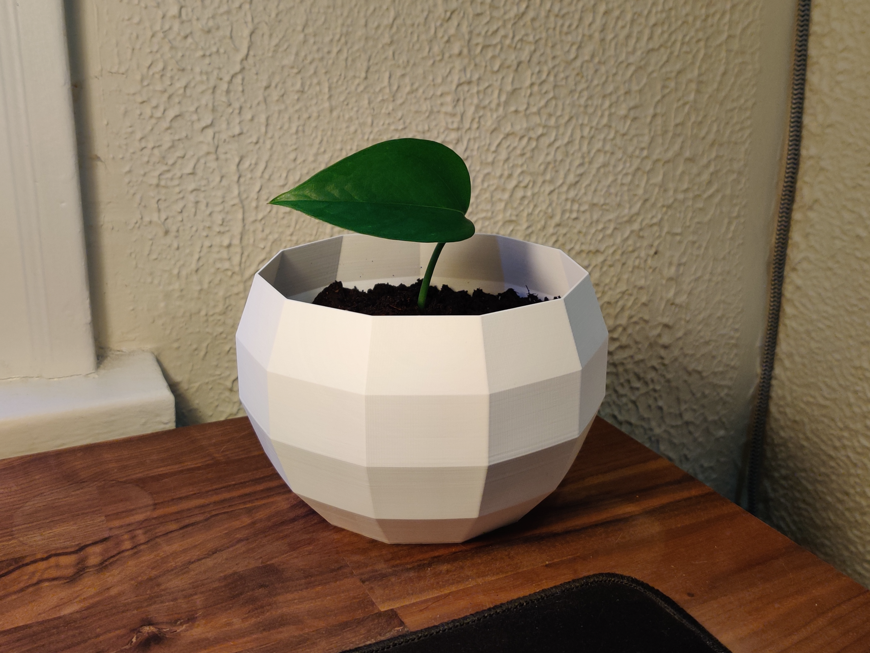 Low Poly Plant Pot